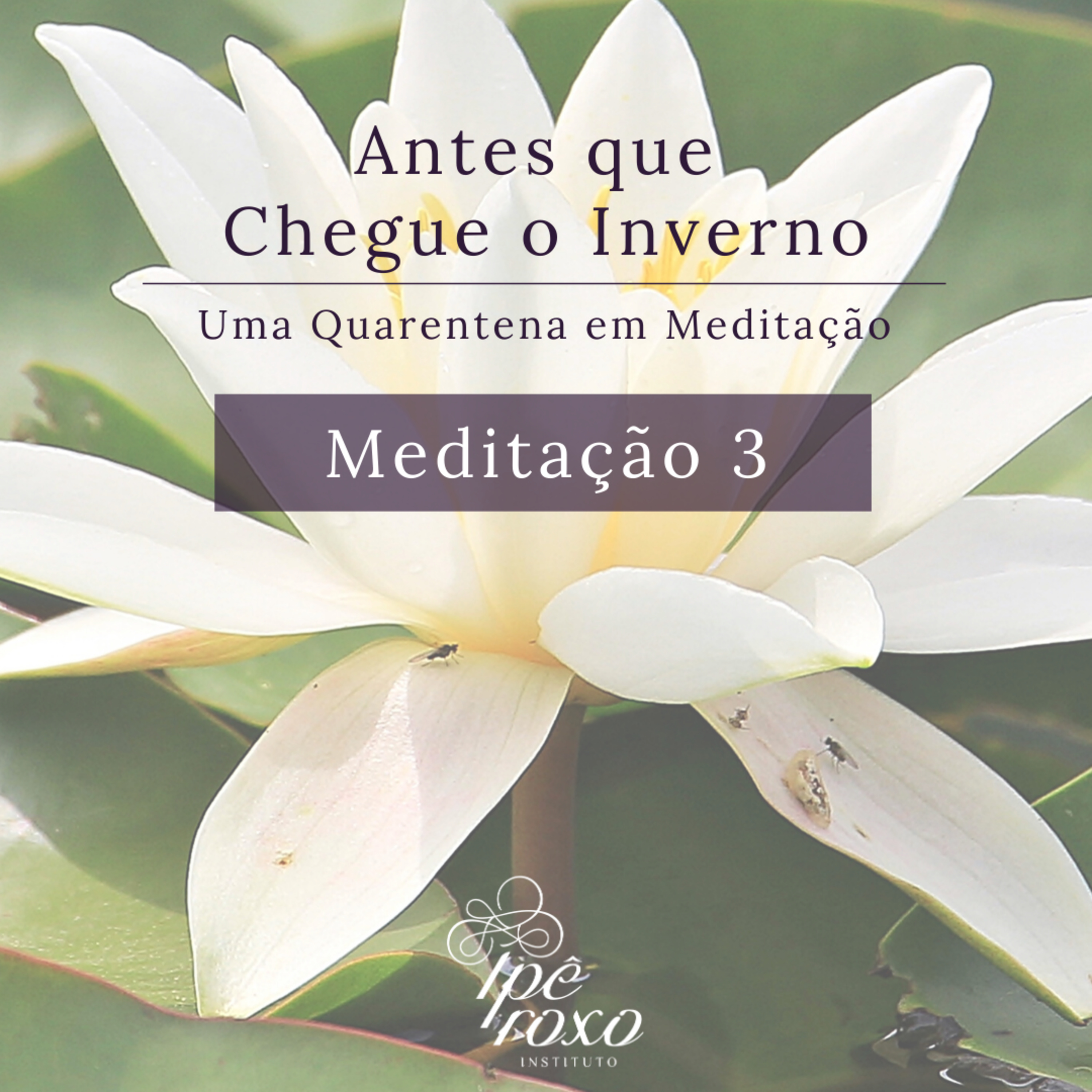 Antes que Chegue o Inverno