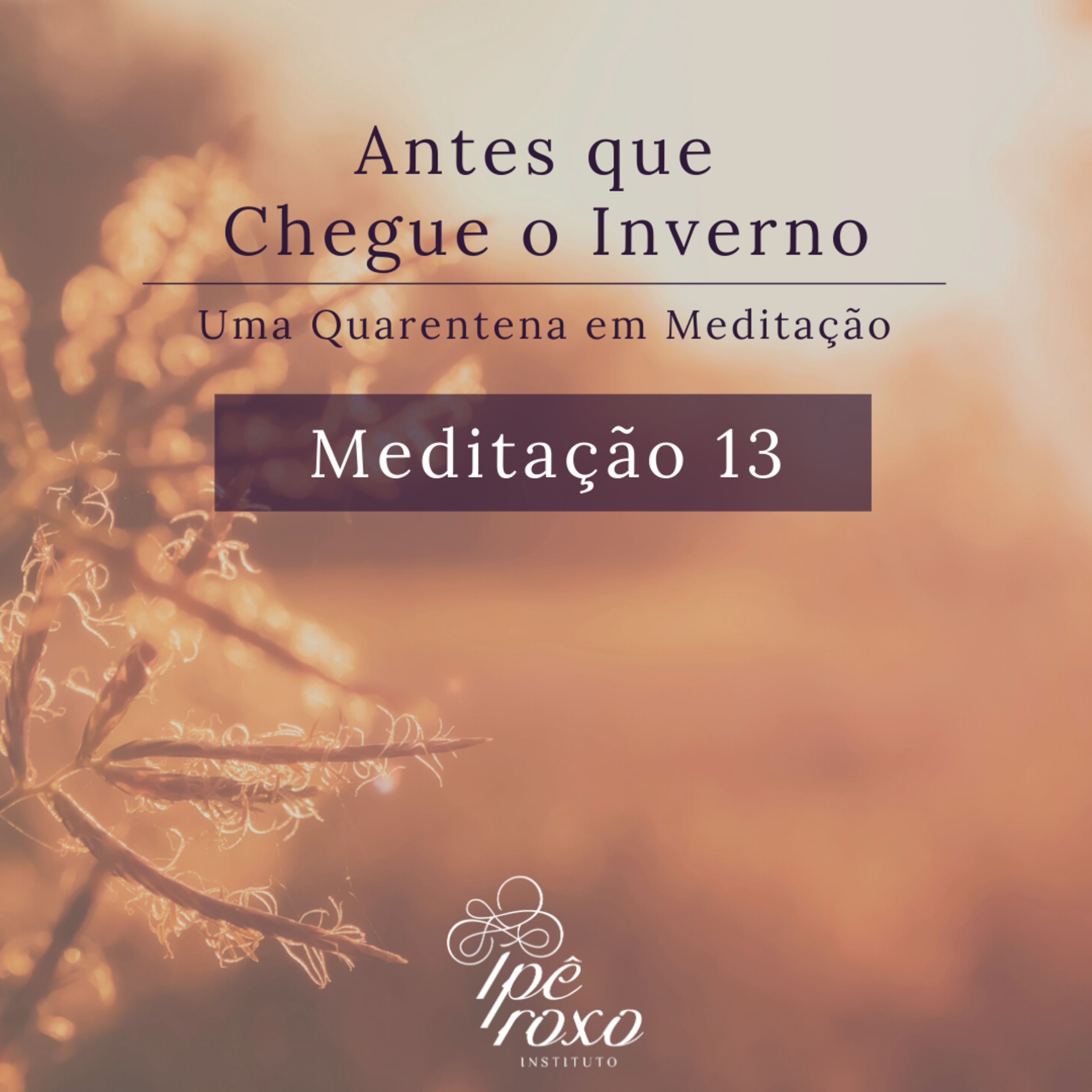 Antes que Chegue o Inverno