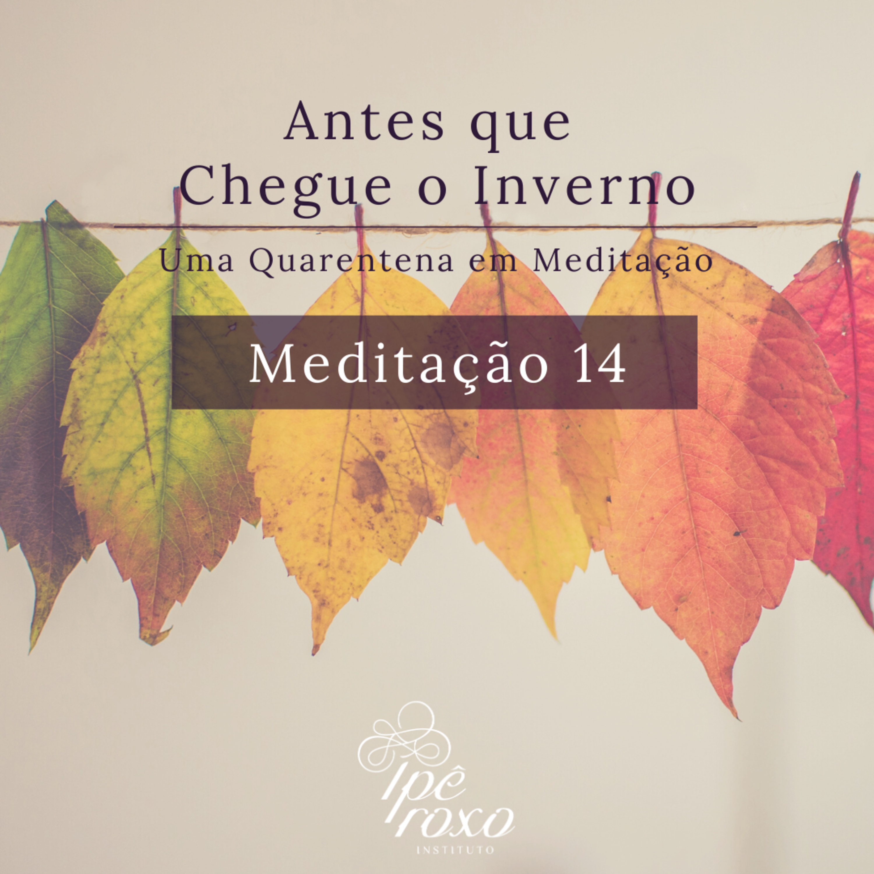 Antes que Chegue o Inverno
