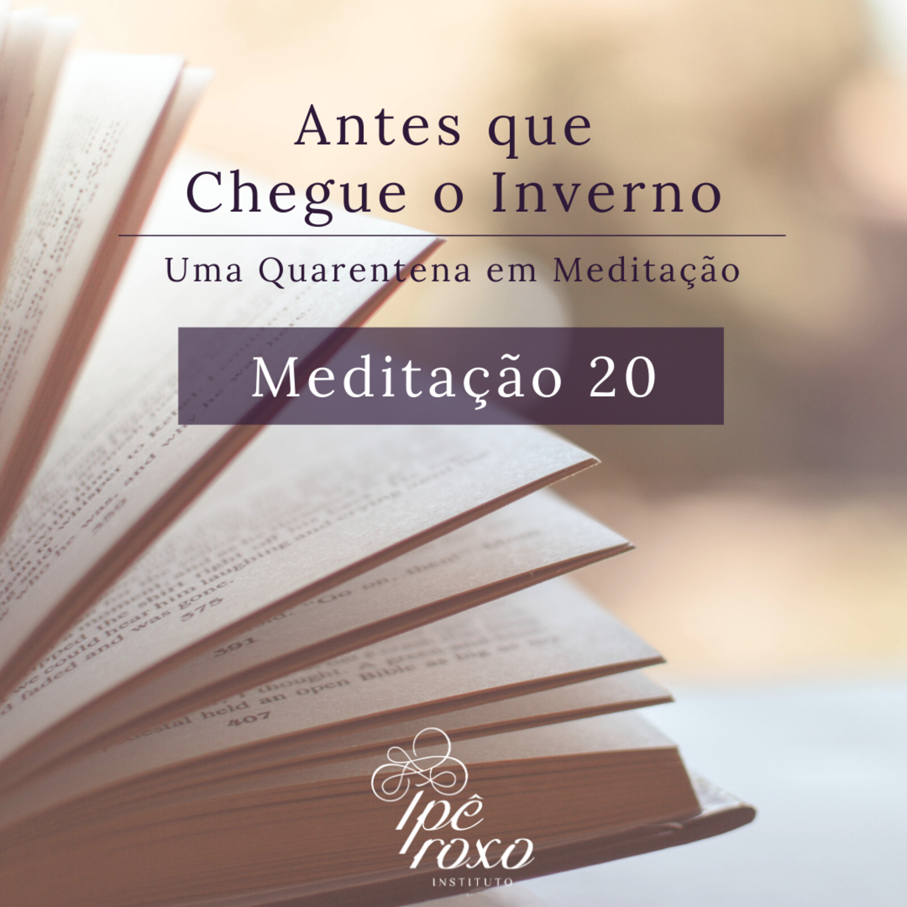 Antes que Chegue o Inverno
