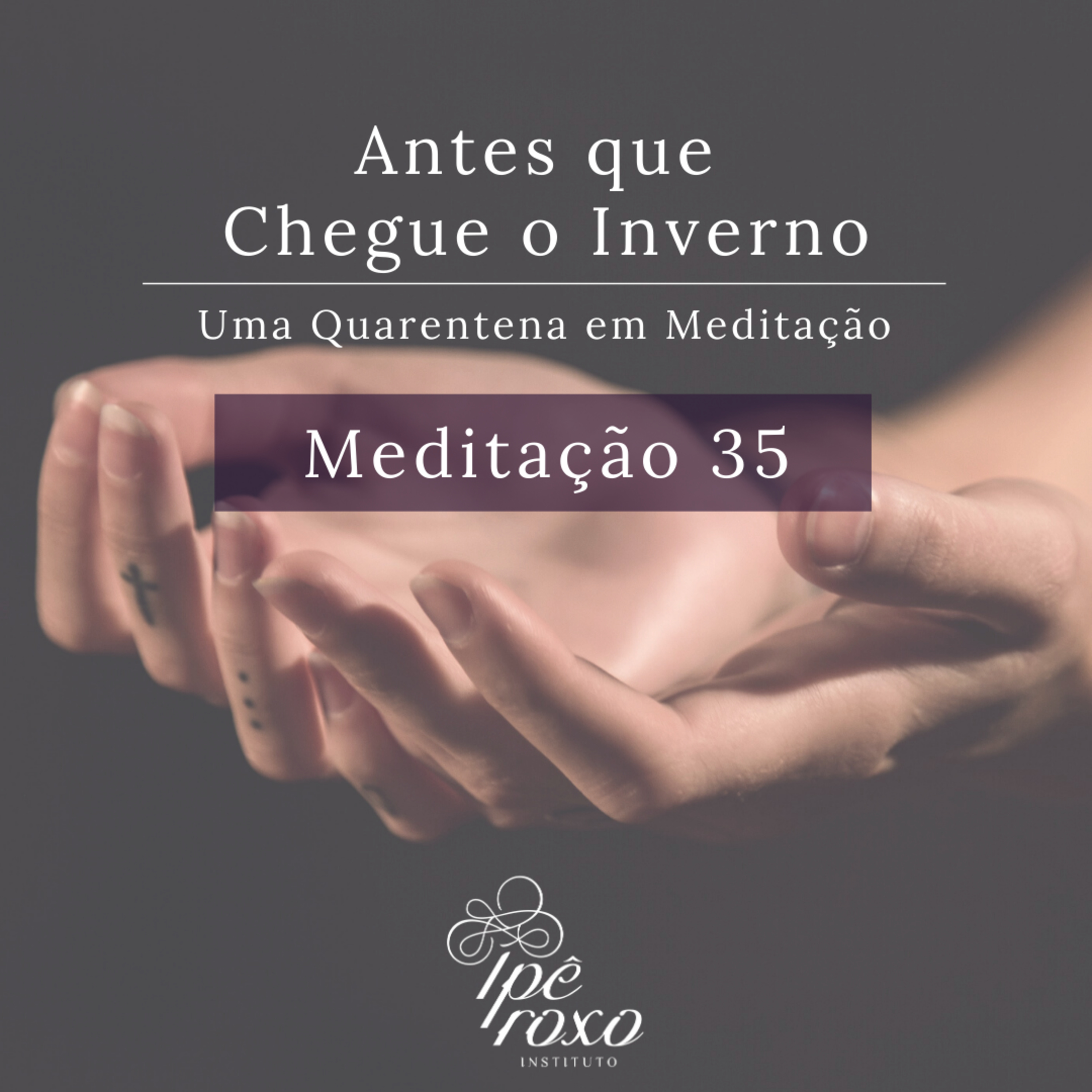 Antes que Chegue o Inverno
