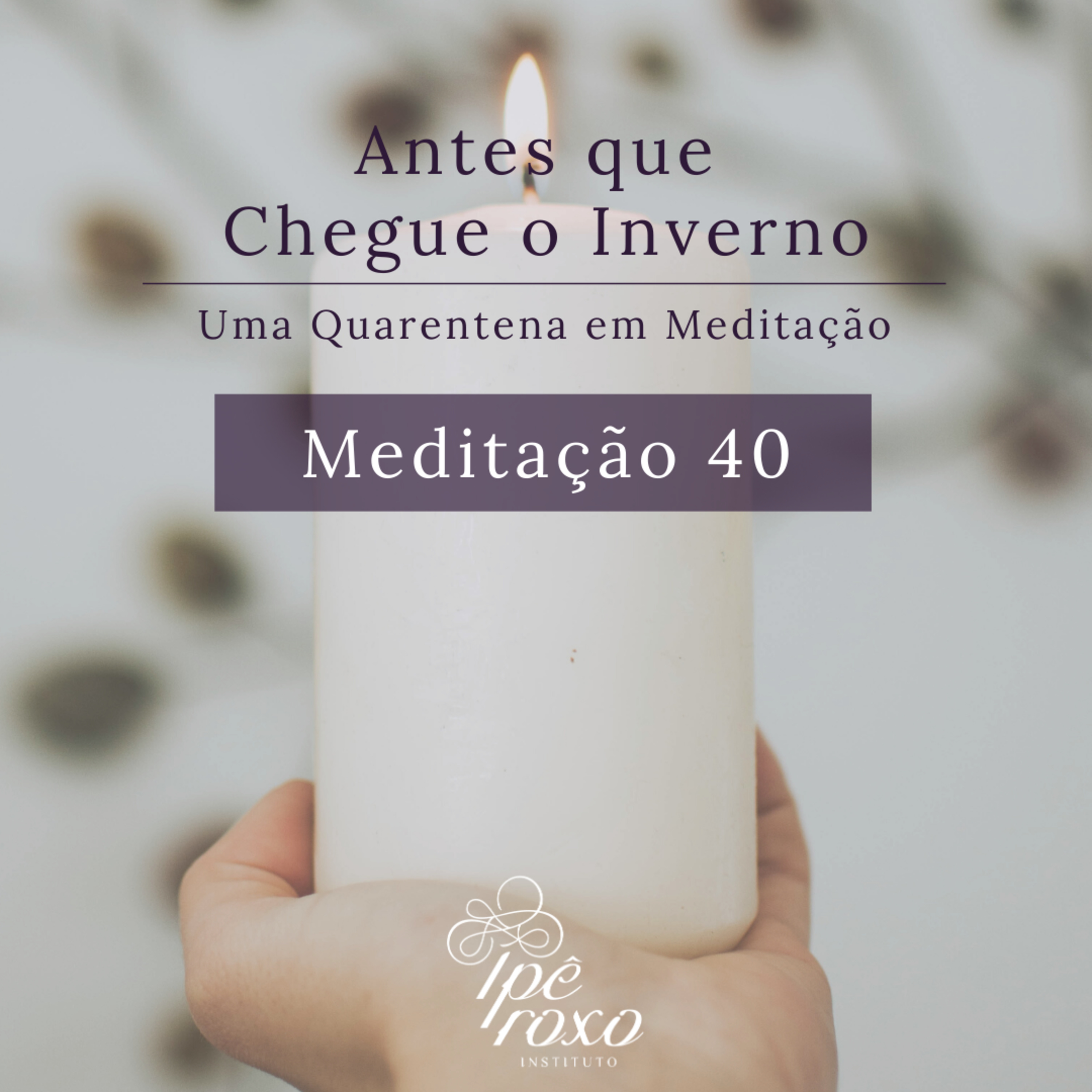 Antes que Chegue o Inverno