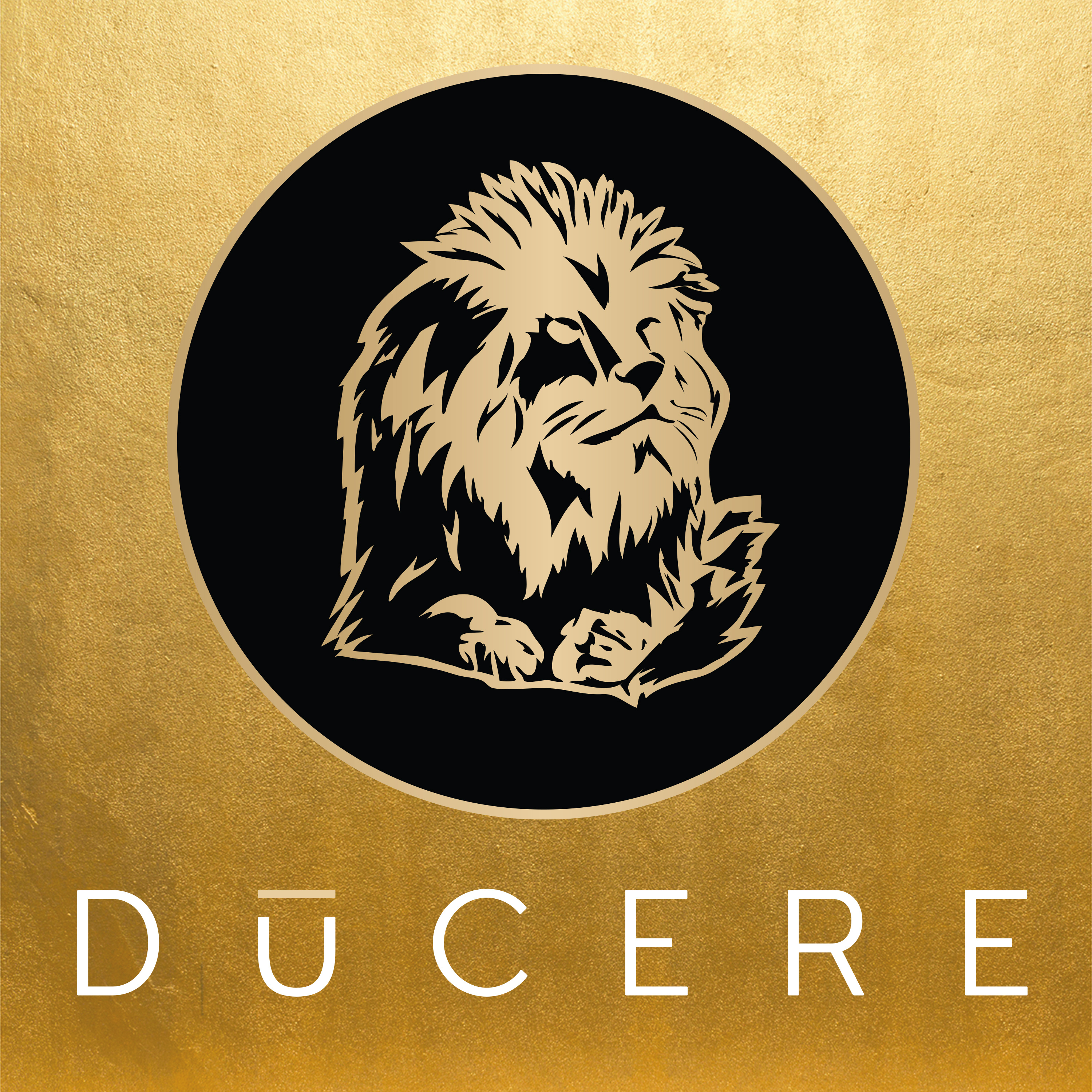 Ducere Global Business School