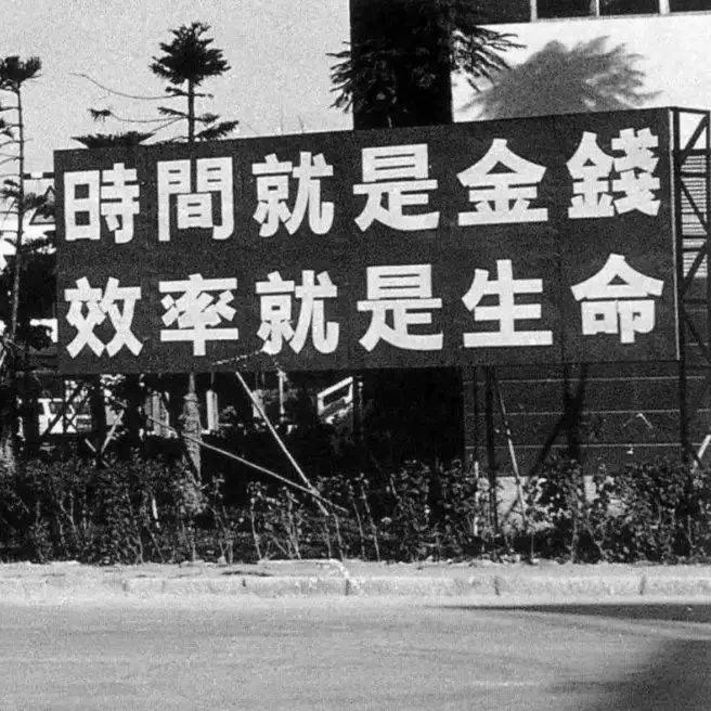 美西螈与东方巨龙