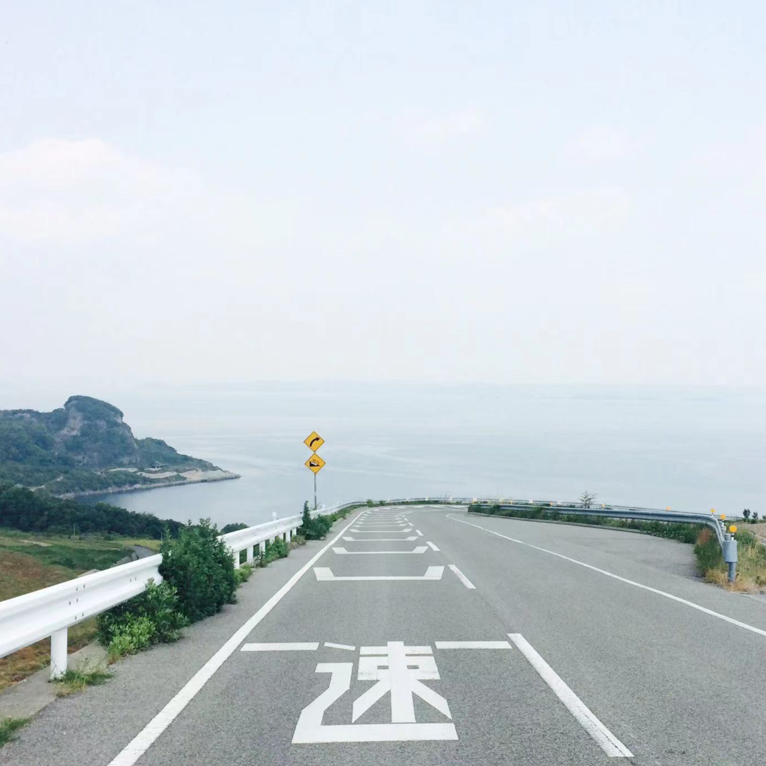 美西螈与东方巨龙
