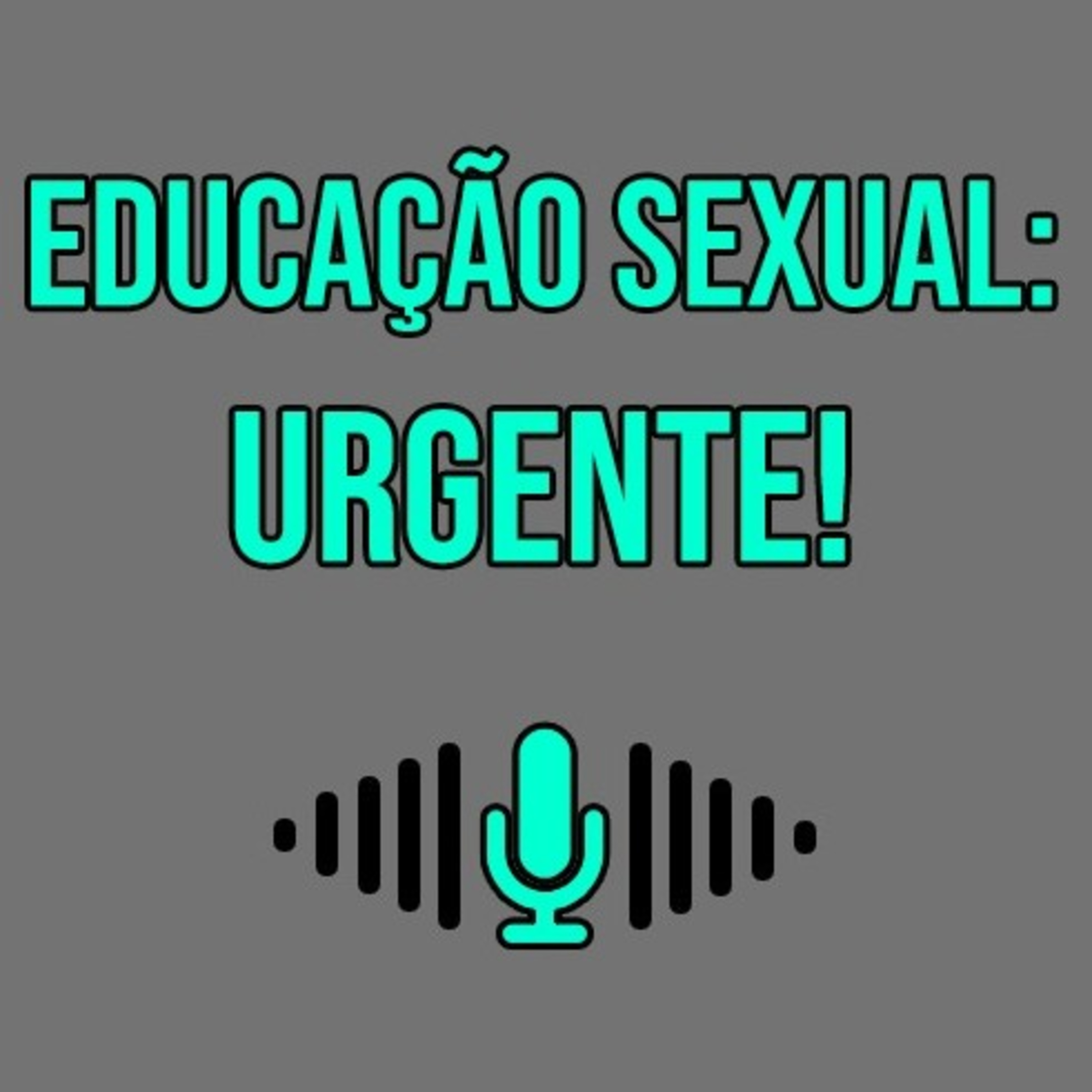 Desculpa o Áudio Longo