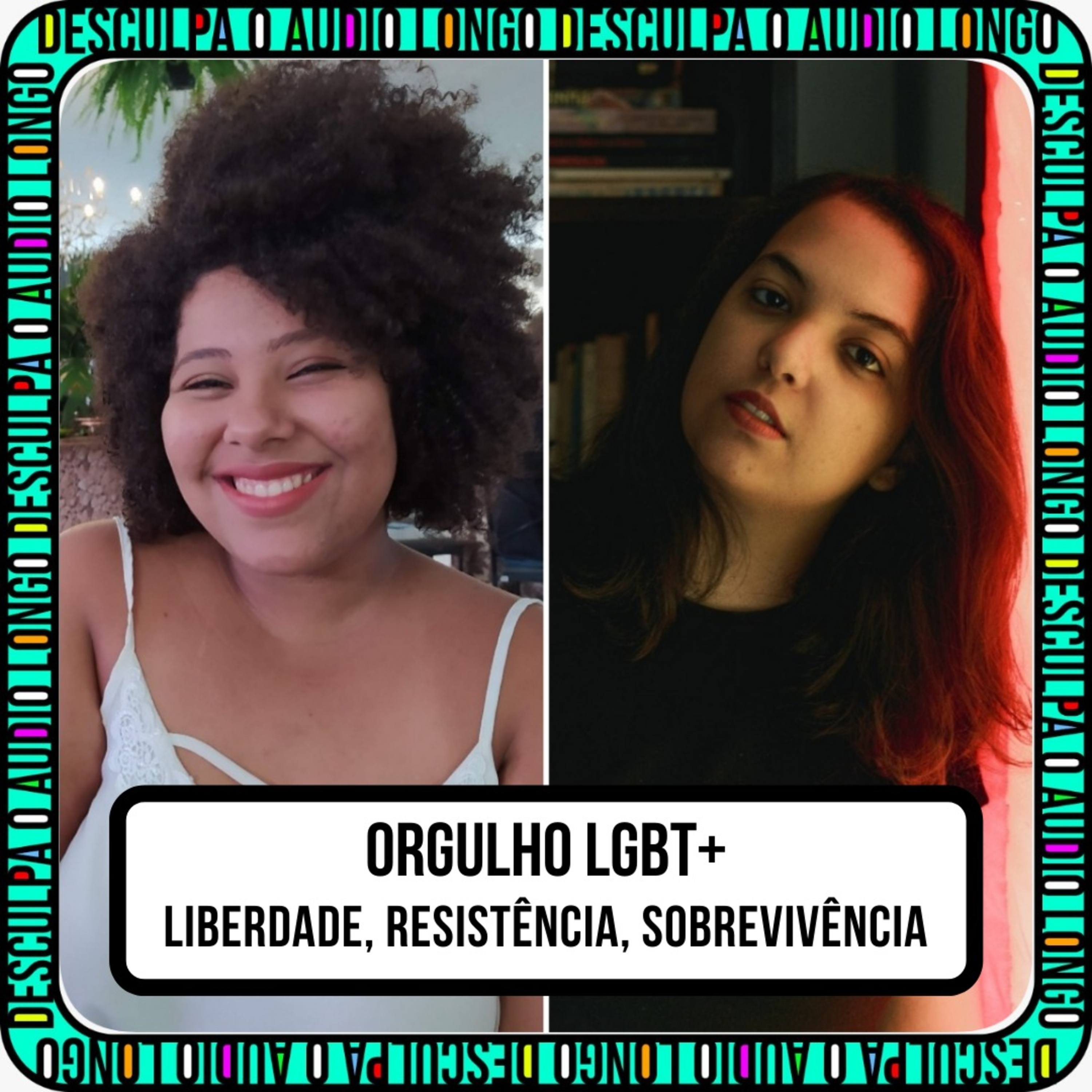 Desculpa o Áudio Longo