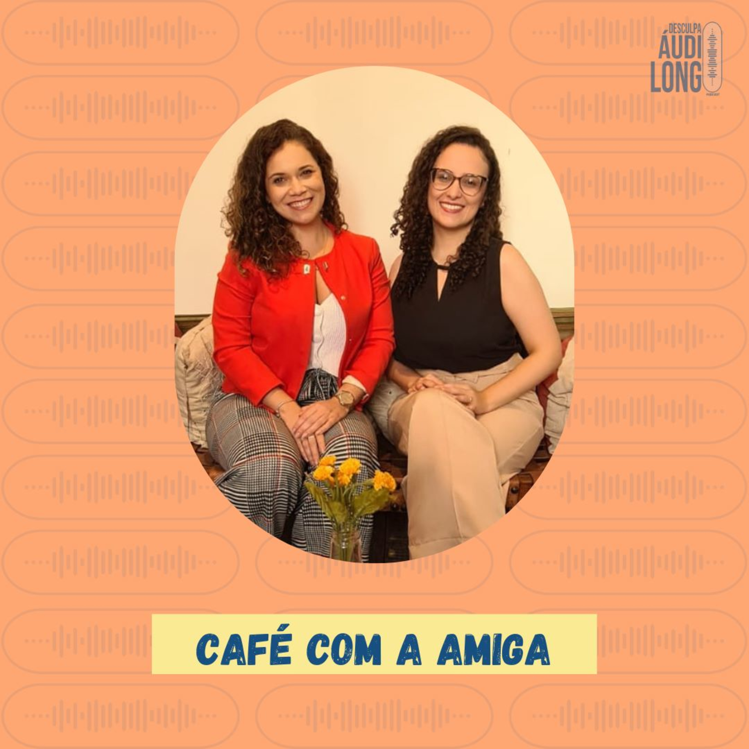 Desculpa o Áudio Longo