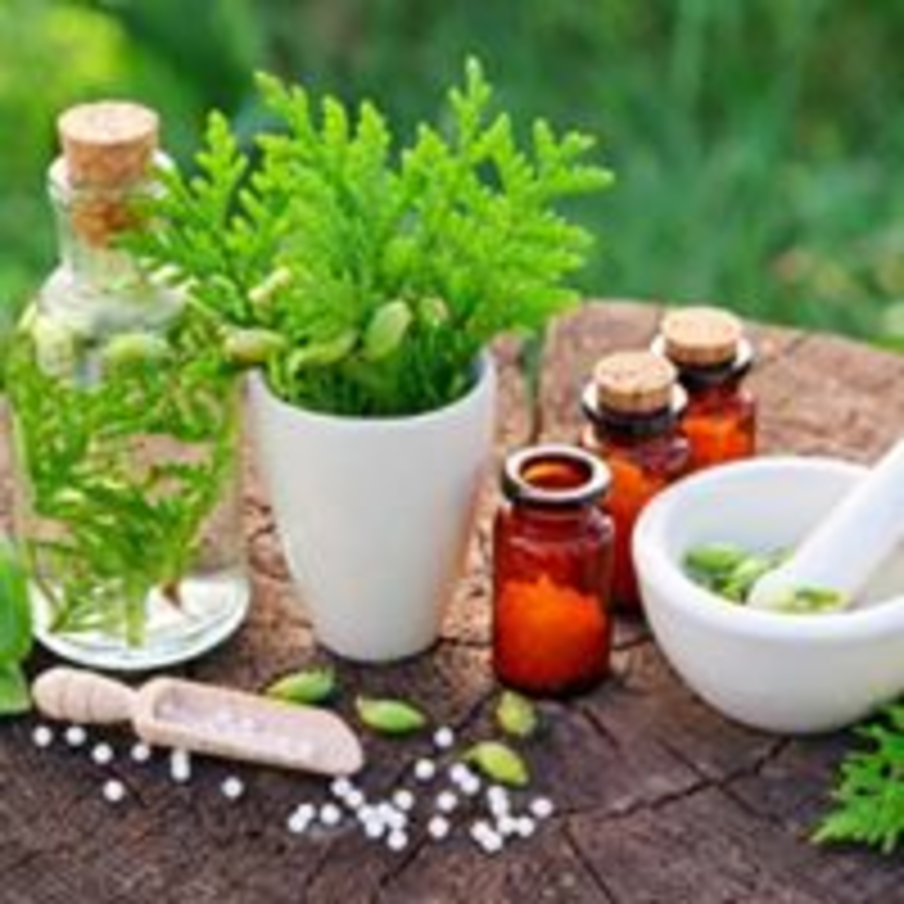 Los Aceites Esenciales y sus Beneficios