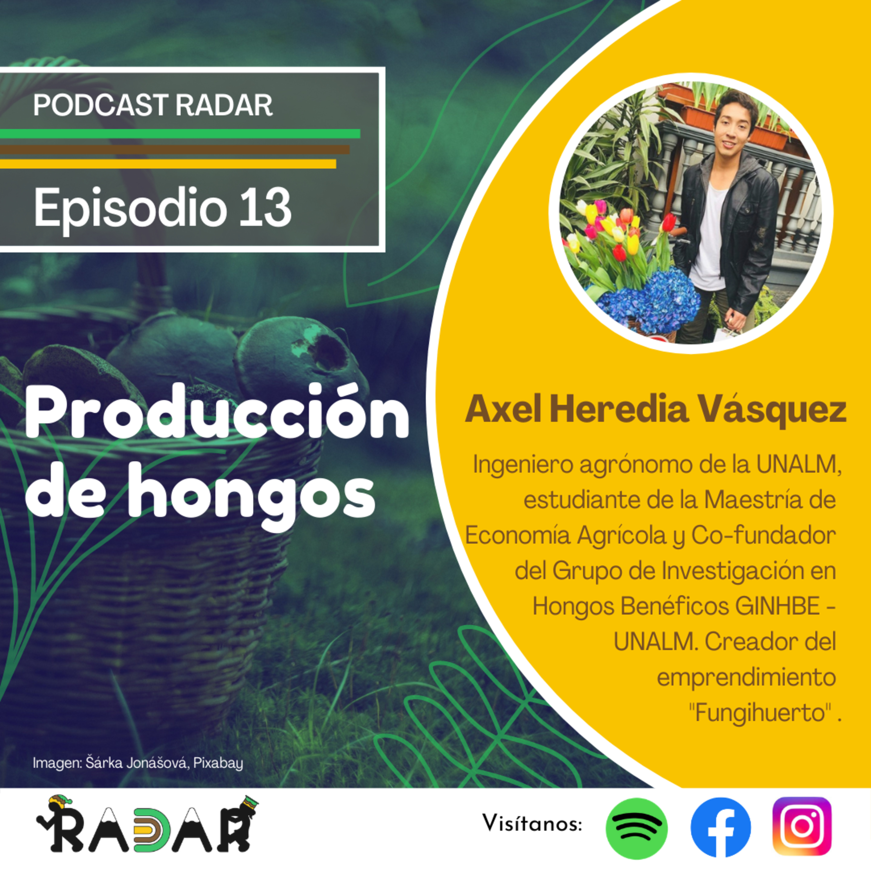 RADAR - Red Académica de Acompañamiento Rural