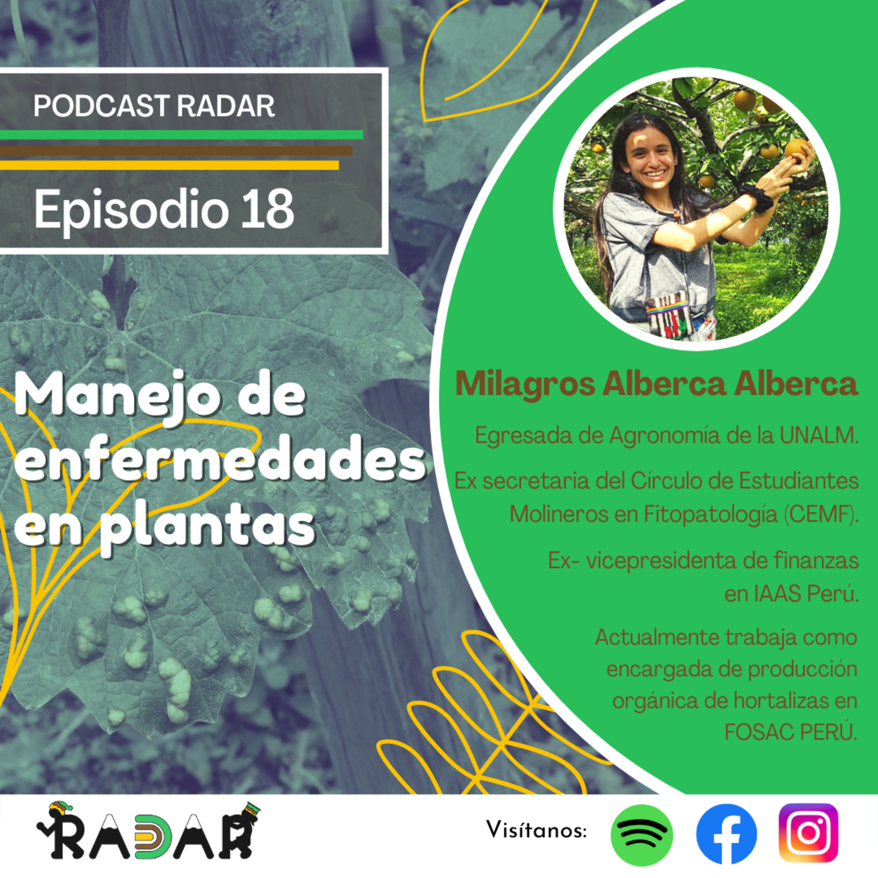 RADAR - Red Académica de Acompañamiento Rural