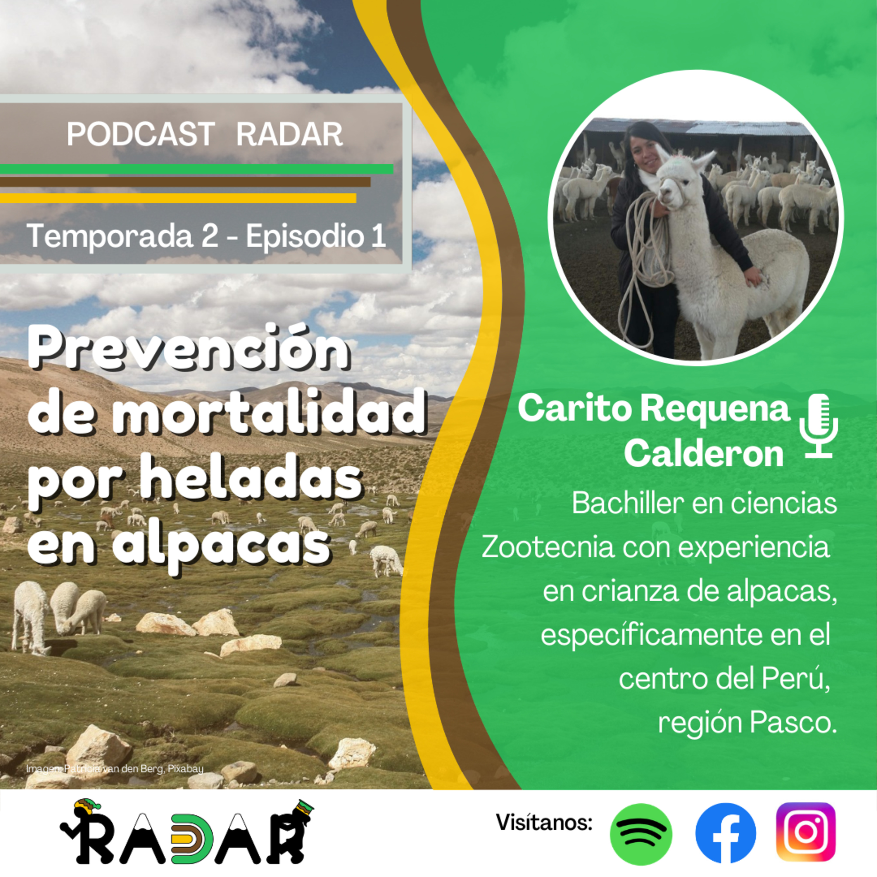 RADAR - Red Académica de Acompañamiento Rural