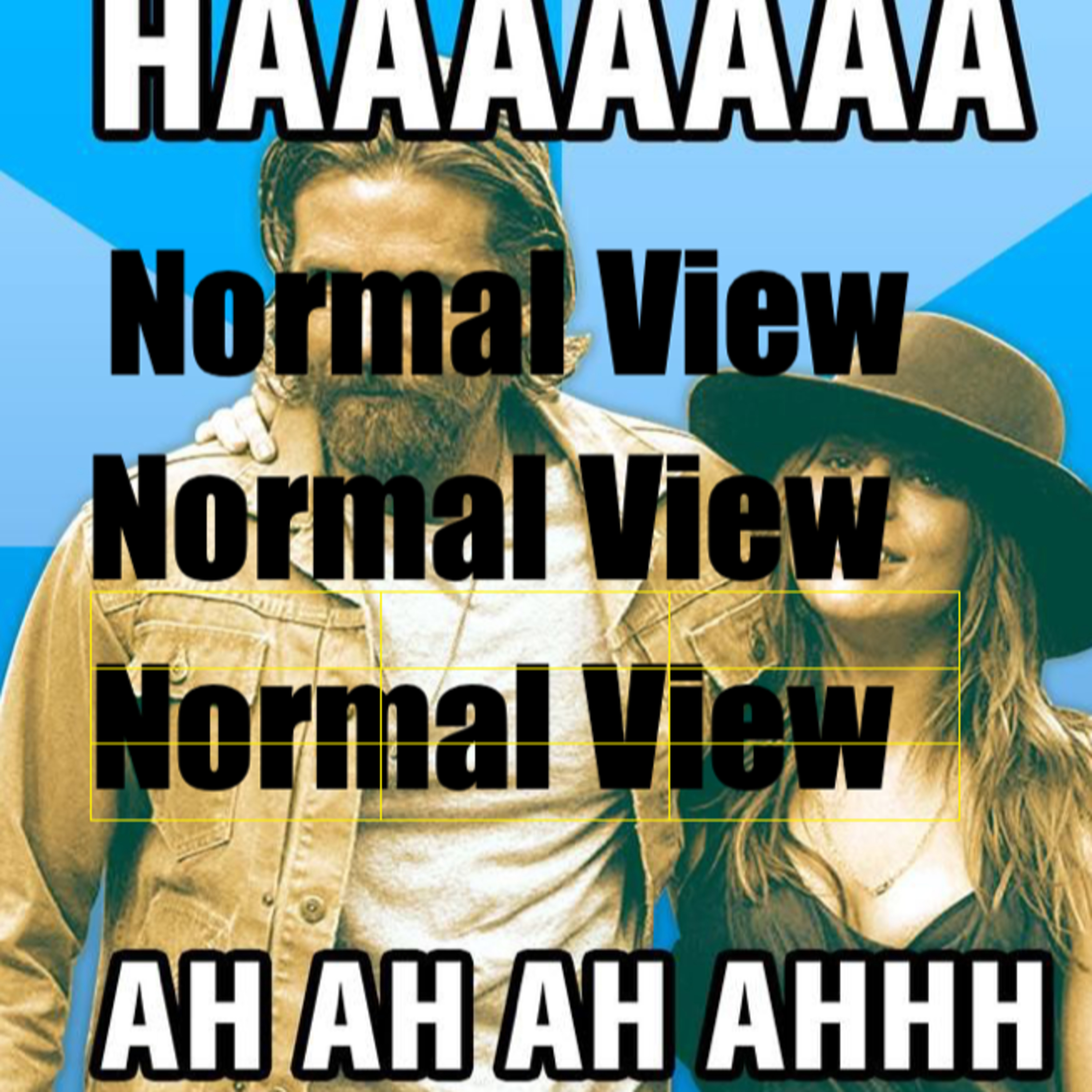 Normal View