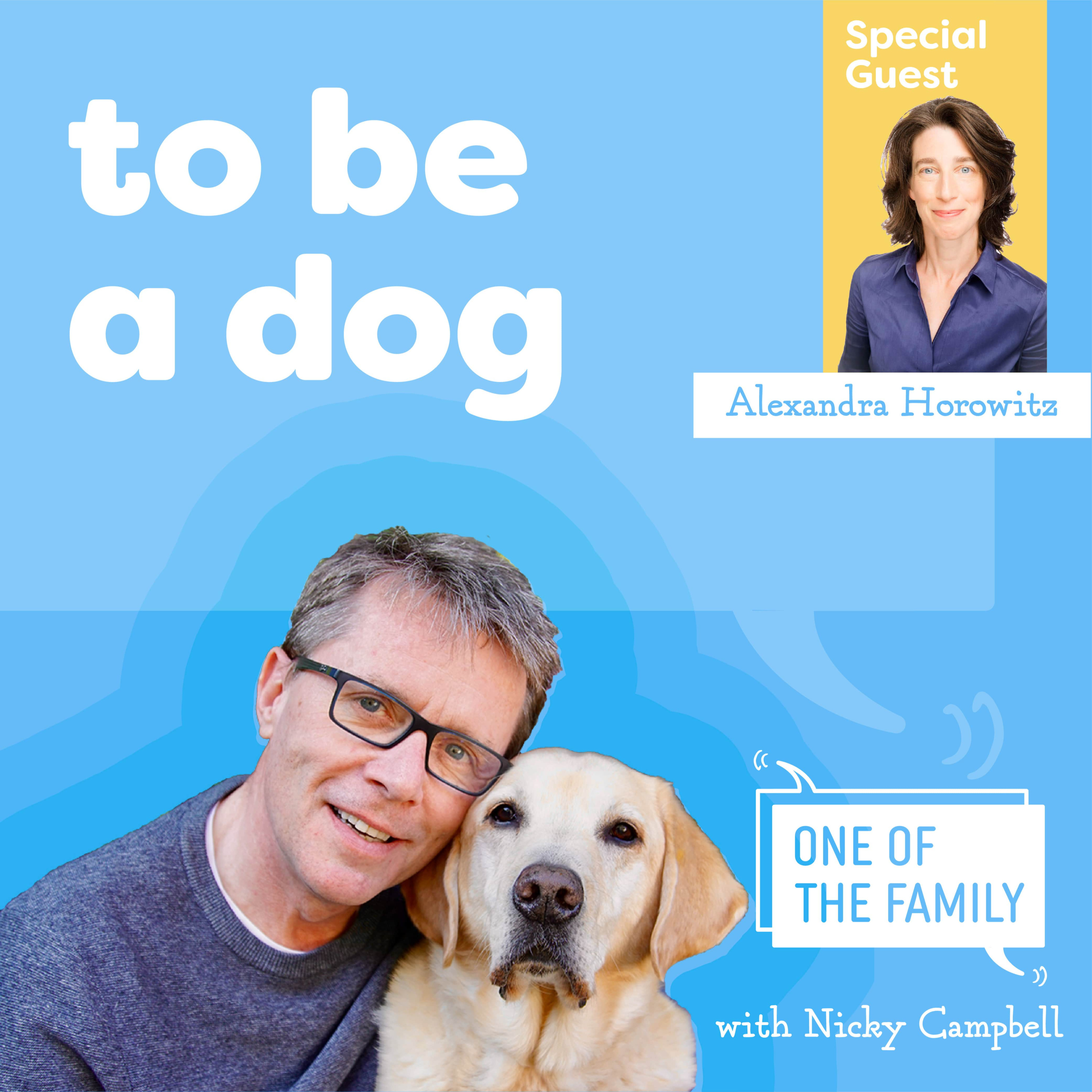 One Of The Family | A Nicky Campbell Podcast