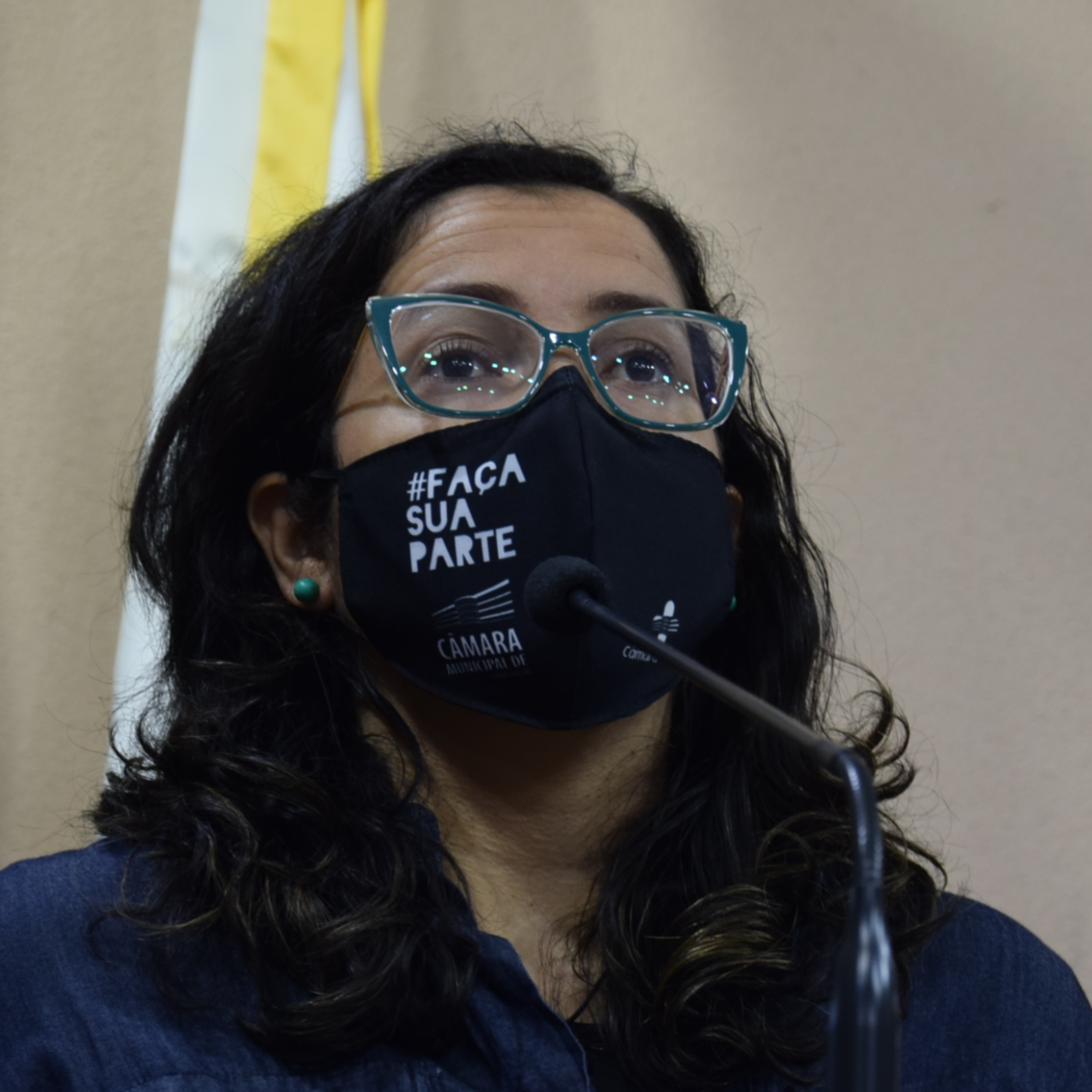 #85: Denise Pessôa repercute reunião pública referente às concessões de rodovias da Serra - Dia de Sessão episode artwork