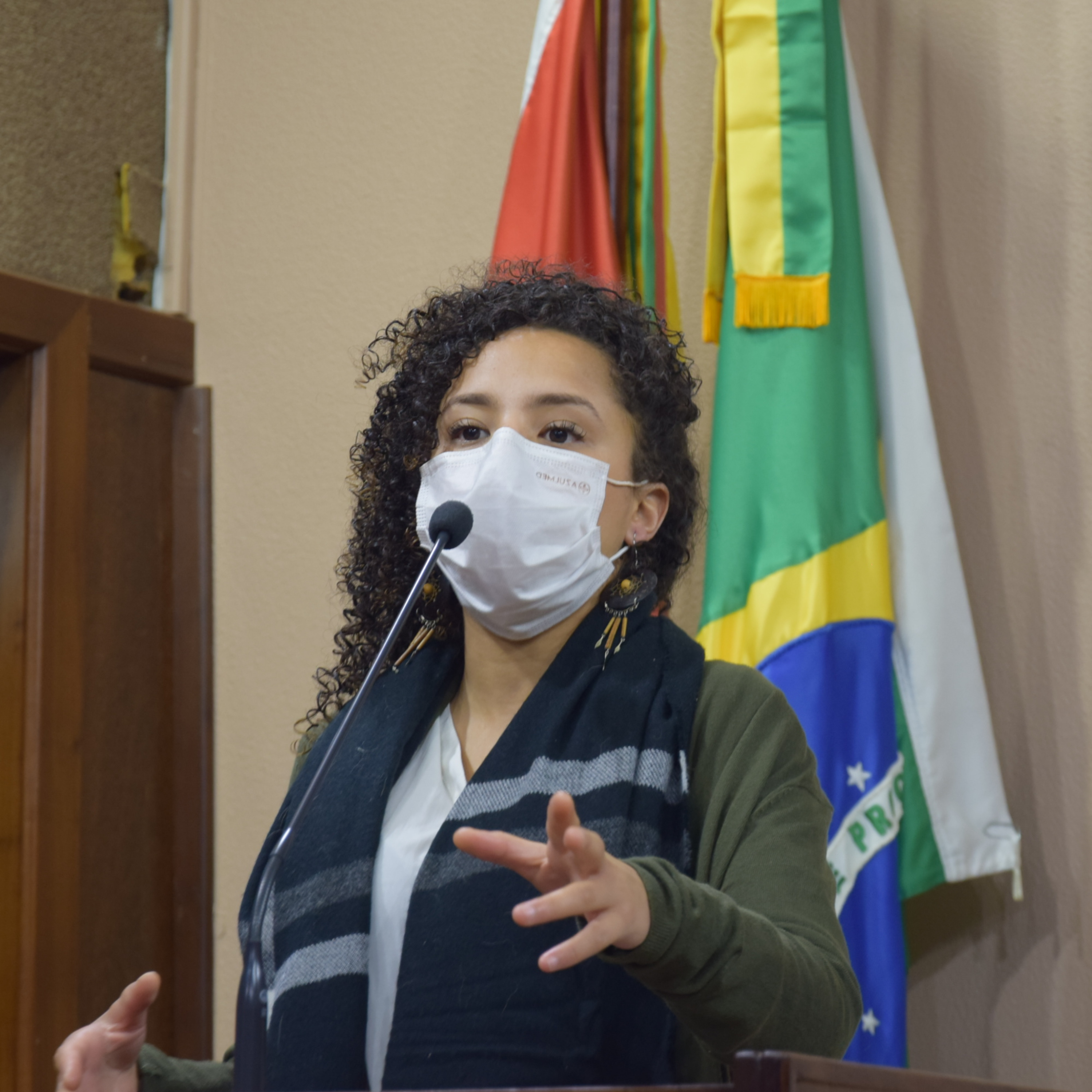 #96: Estela Balardin expõe indicações feitas ao Executivo Municipal - Dia de Sessão  episode artwork