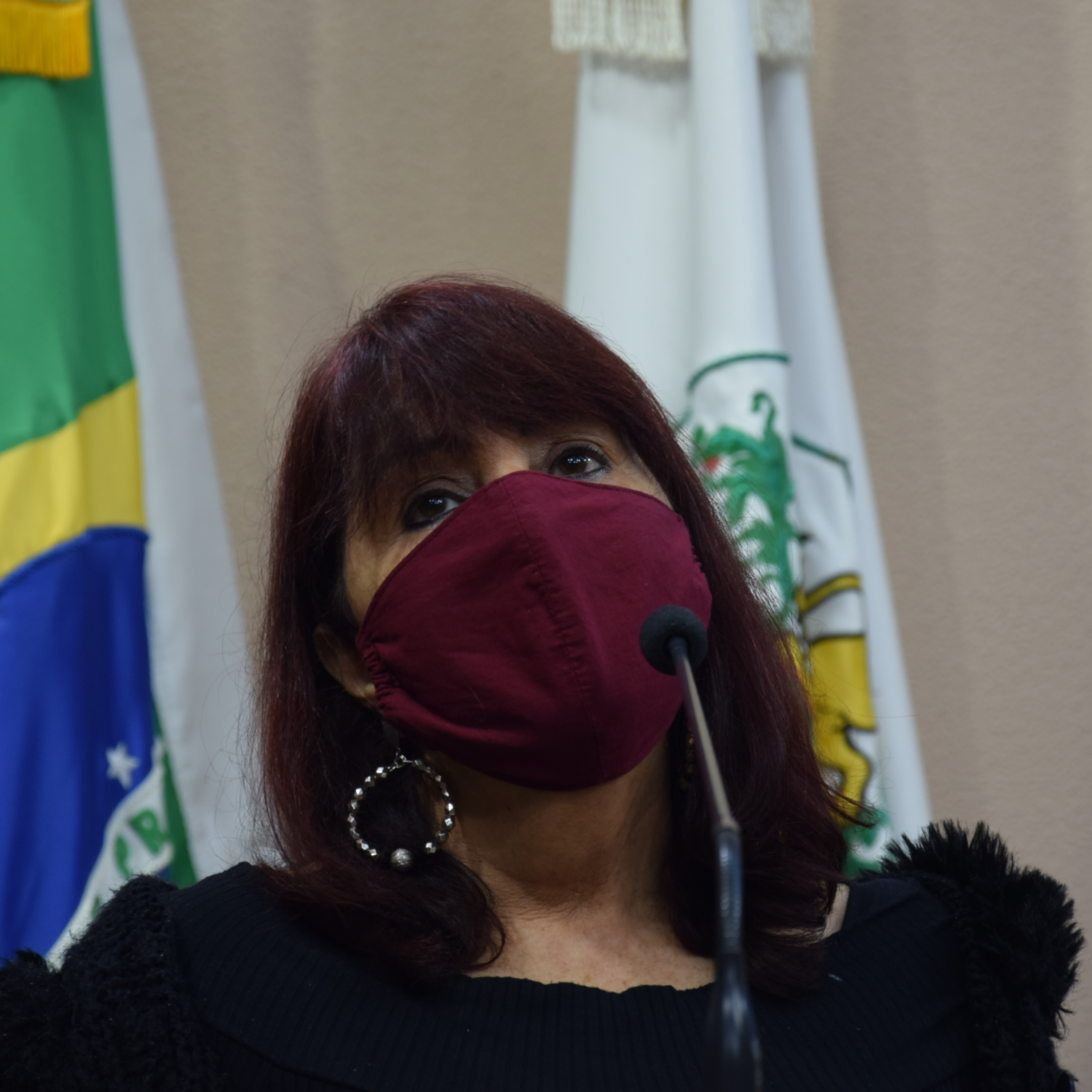 #108: Rose Frigeri aponta fragilidades da inclusão na rede pública de ensino - Dia de Sessão
