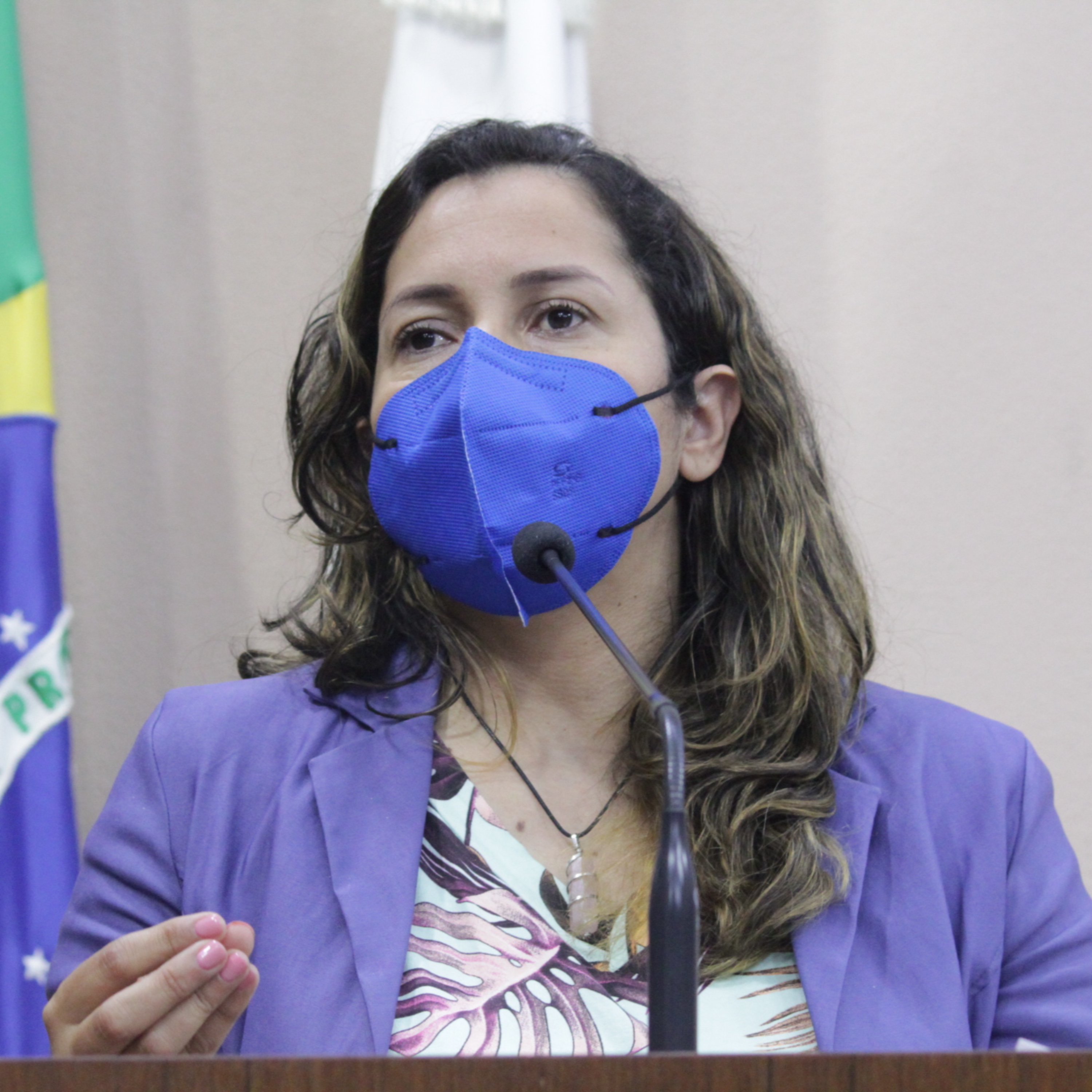 #175: Denise Pessôa enfatiza a necessidade de assistência técnica do município a moradias - Dia de Sessão