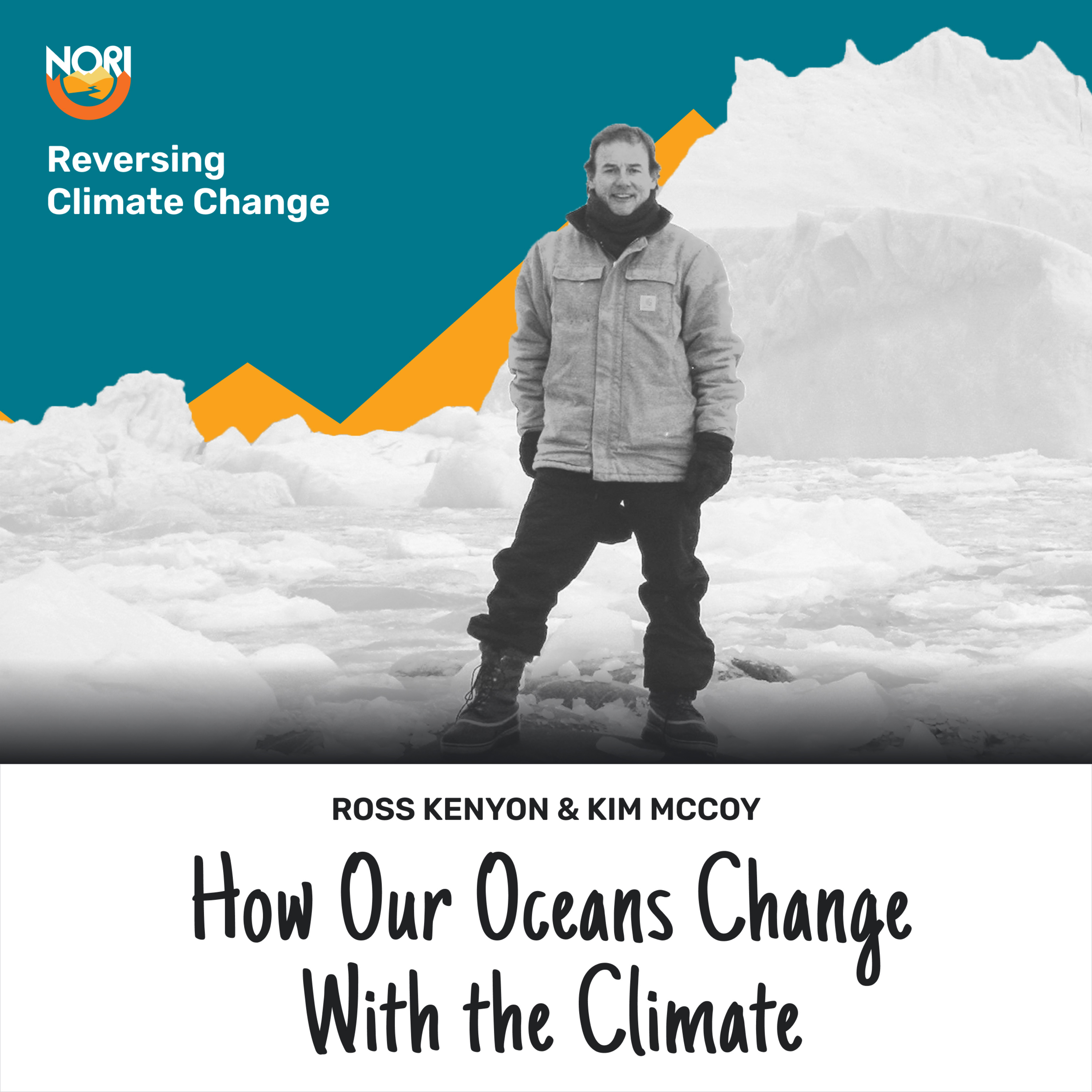 Reversing Climate Change