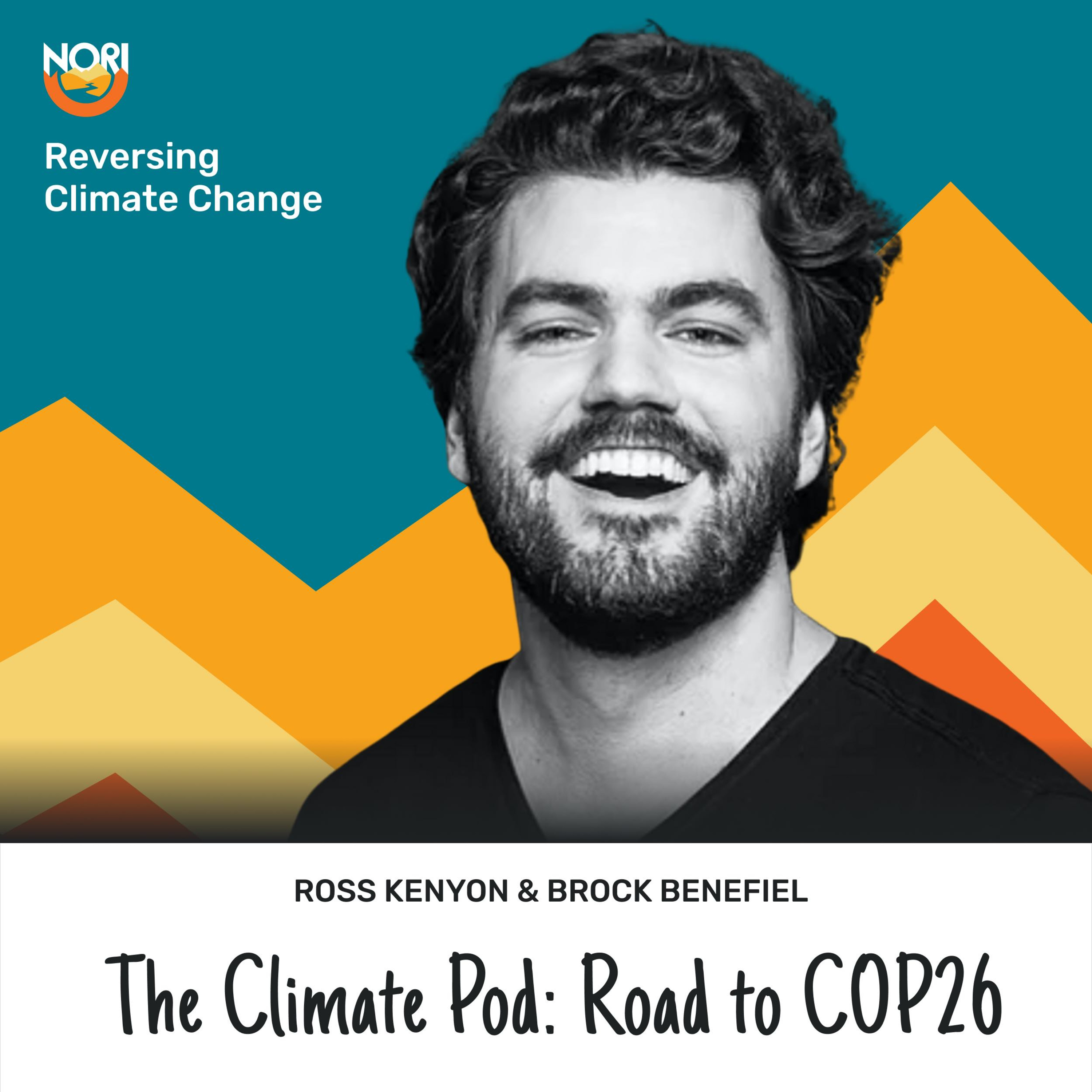 Reversing Climate Change