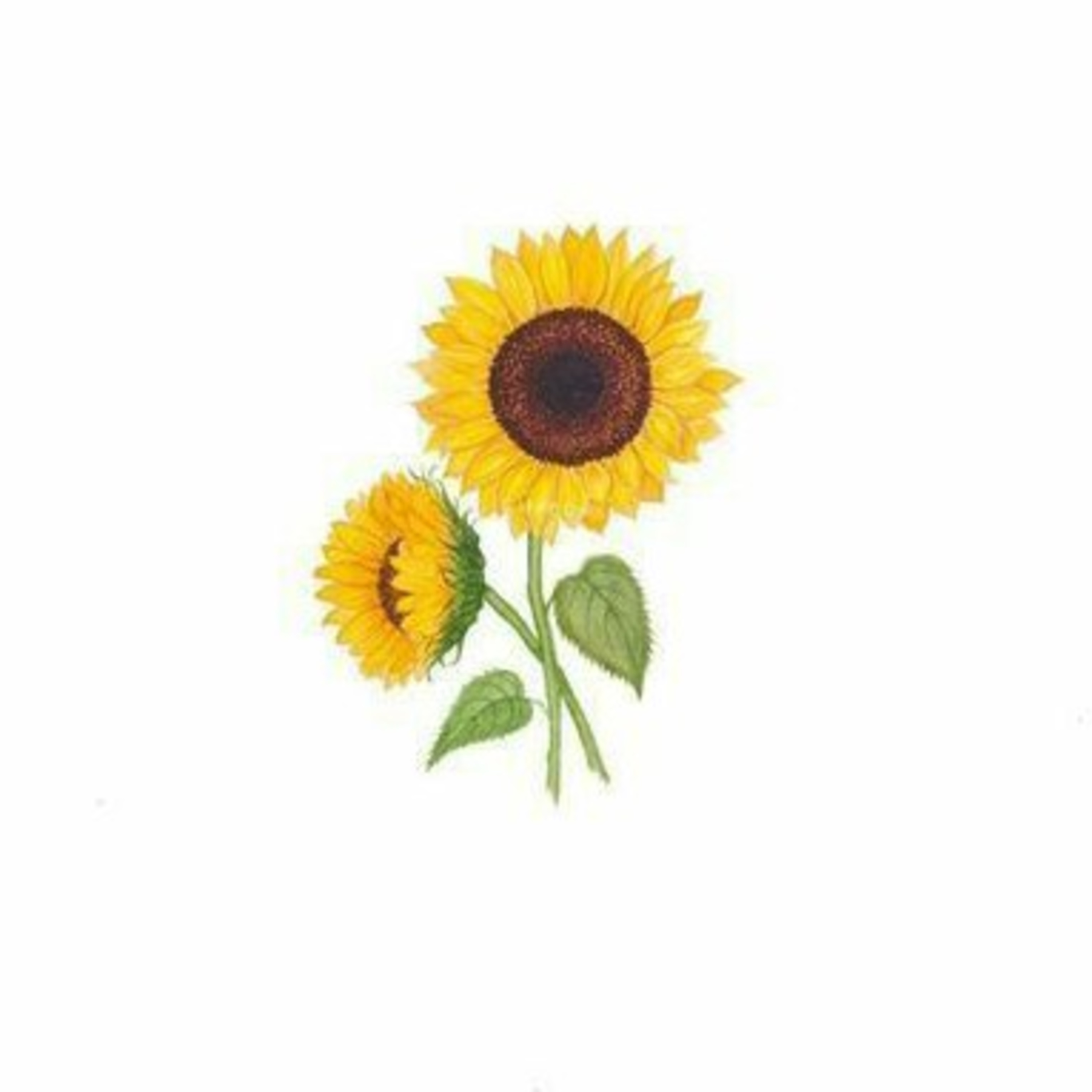 Titik damba 🌻 episode artwork