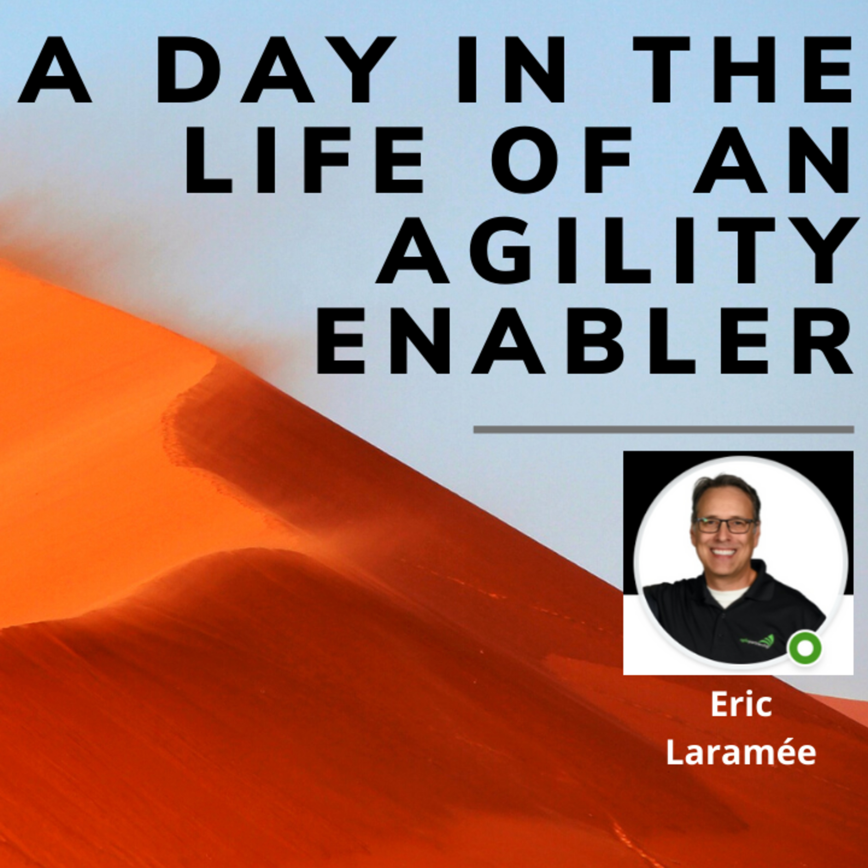 A day in the life of an Agility Enabler