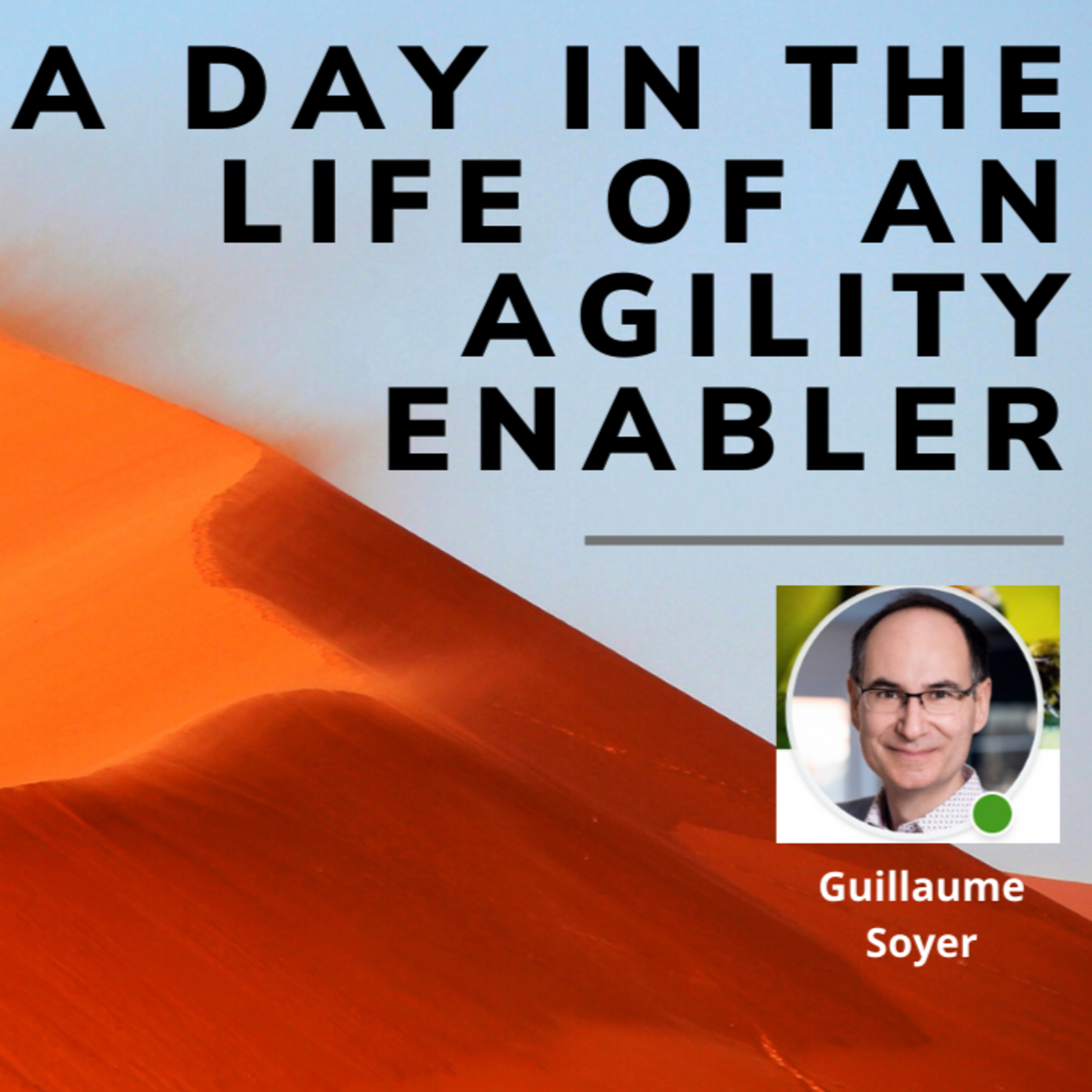 A day in the life of an Agility Enabler