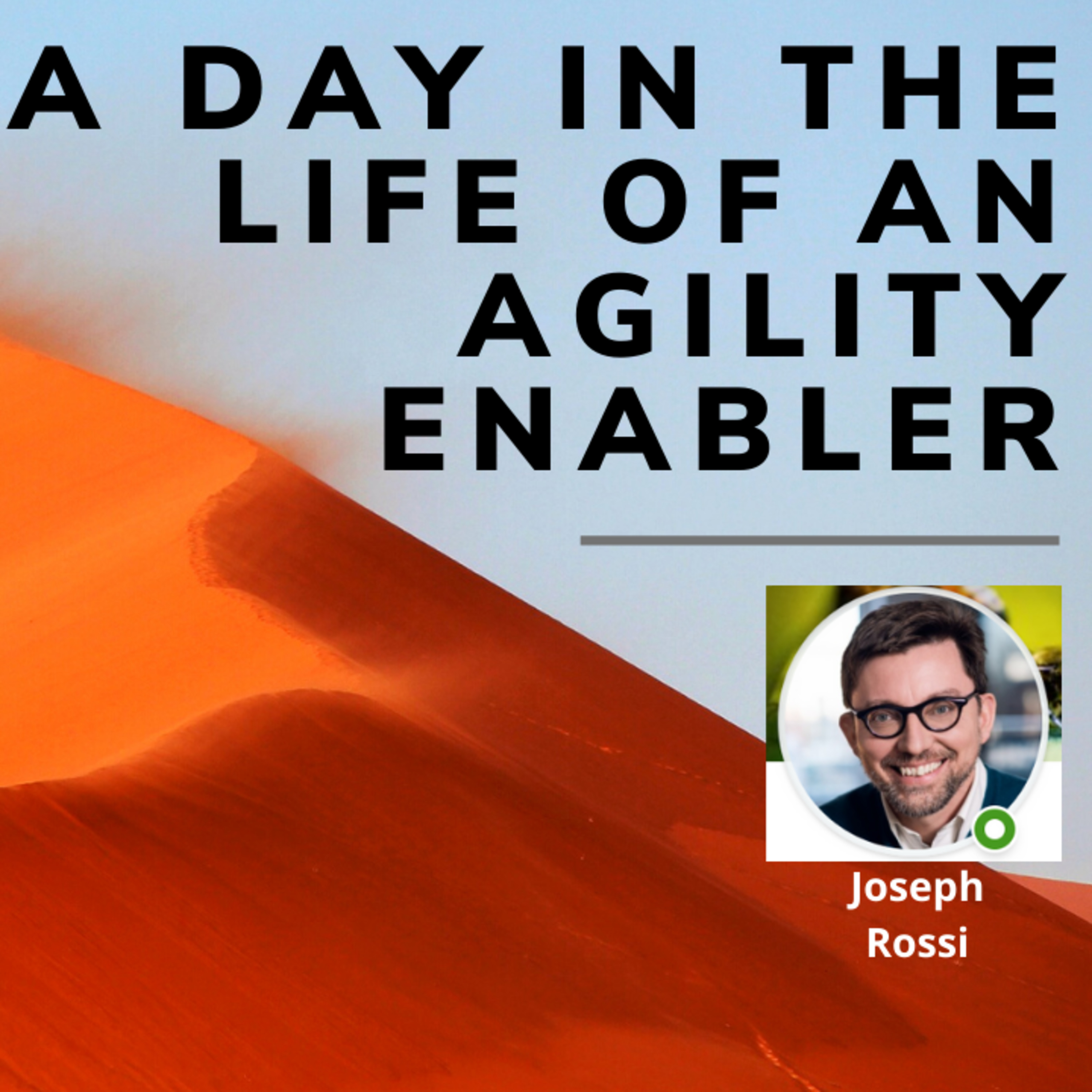 A day in the life of an Agility Enabler