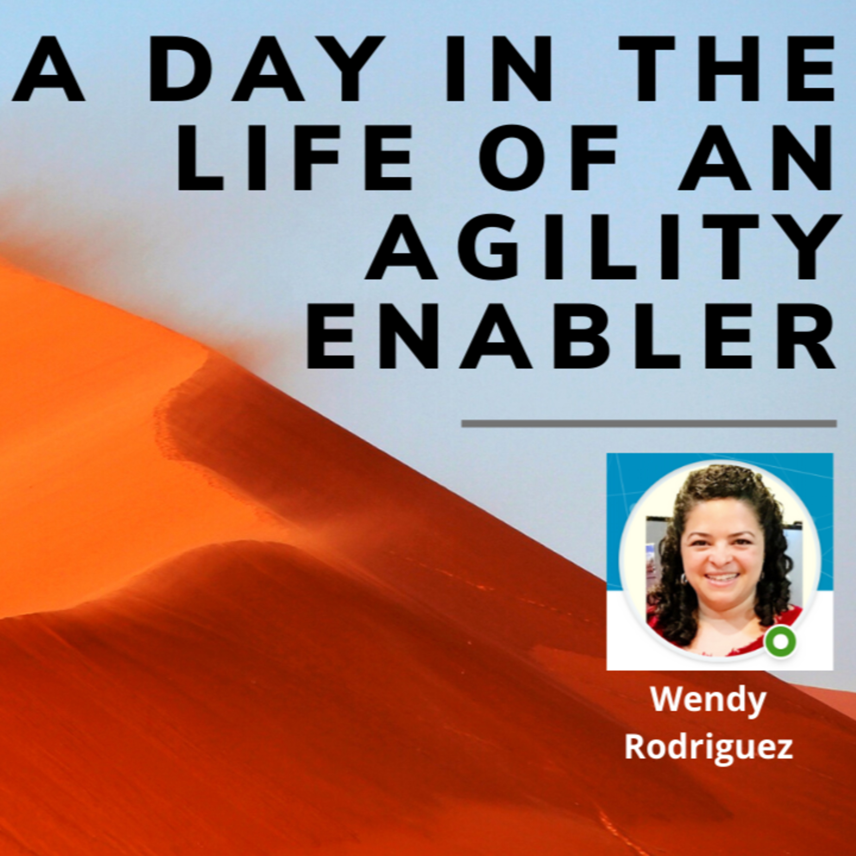 A day in the life of an Agility Enabler