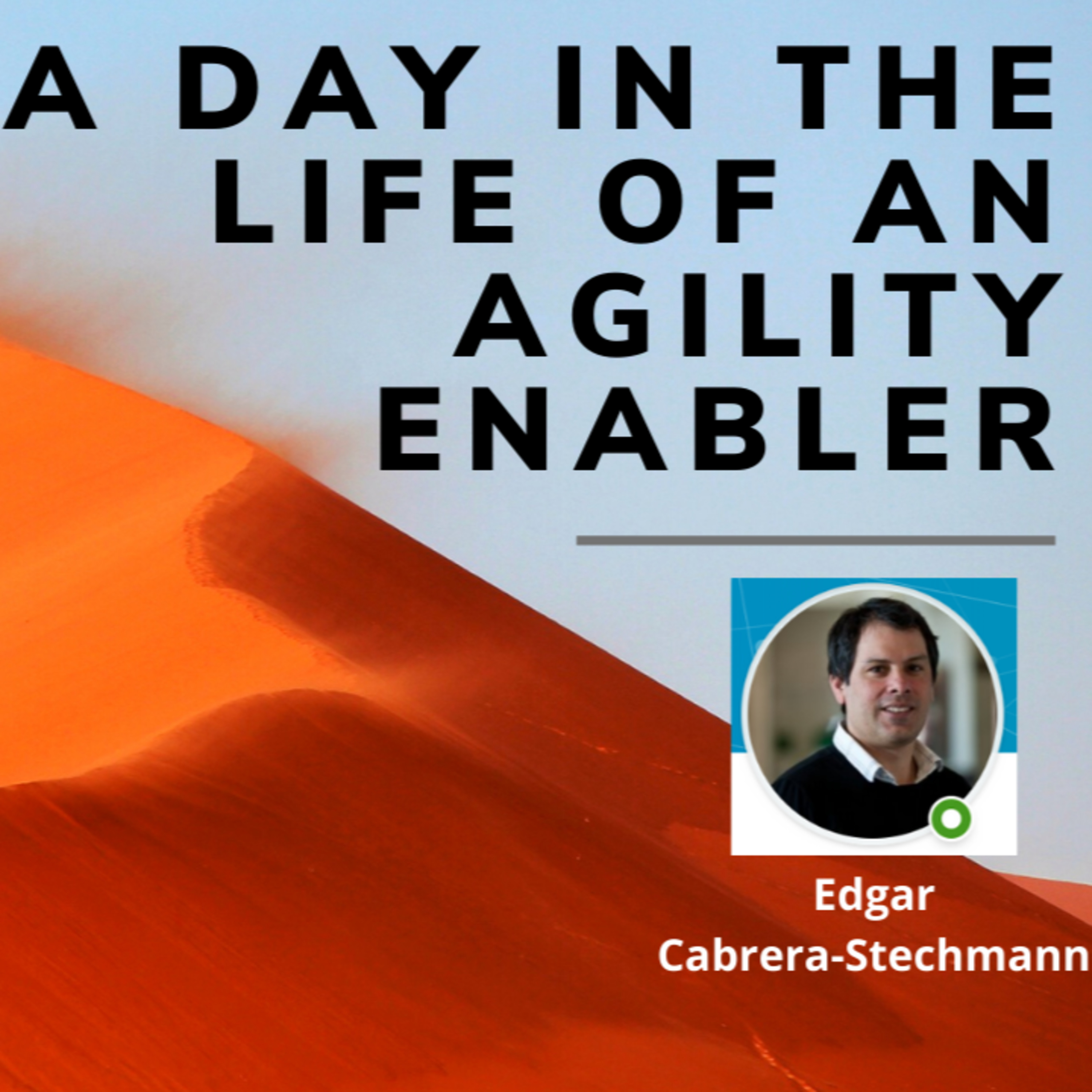 A day in the life of an Agility Enabler