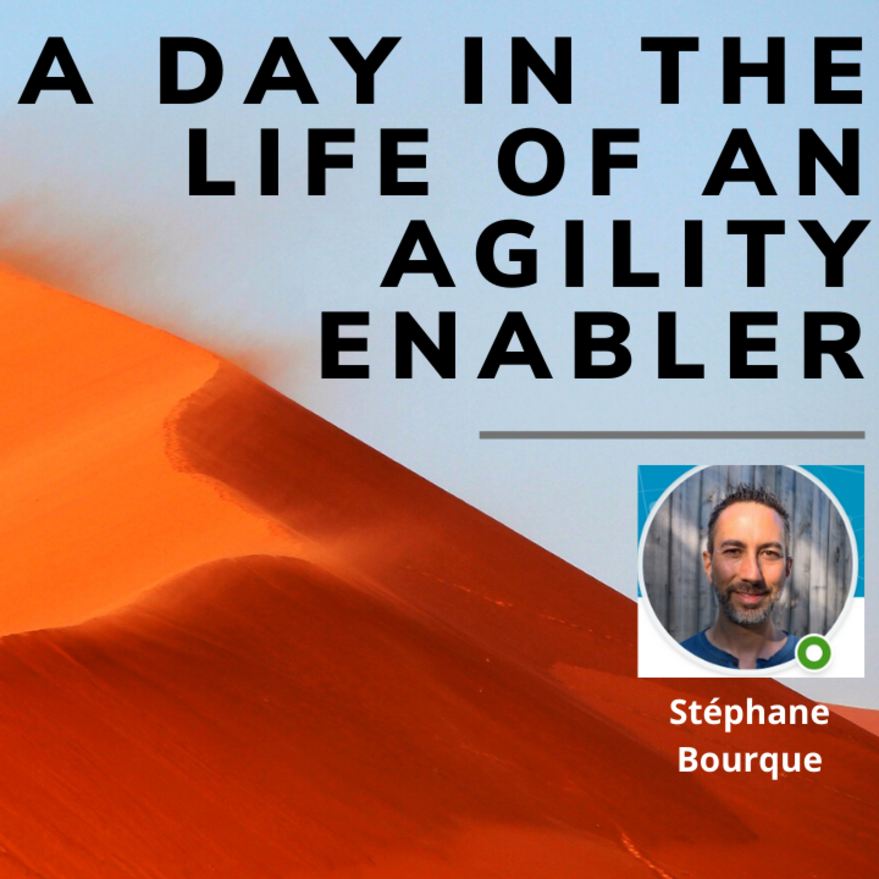 A day in the life of an Agility Enabler