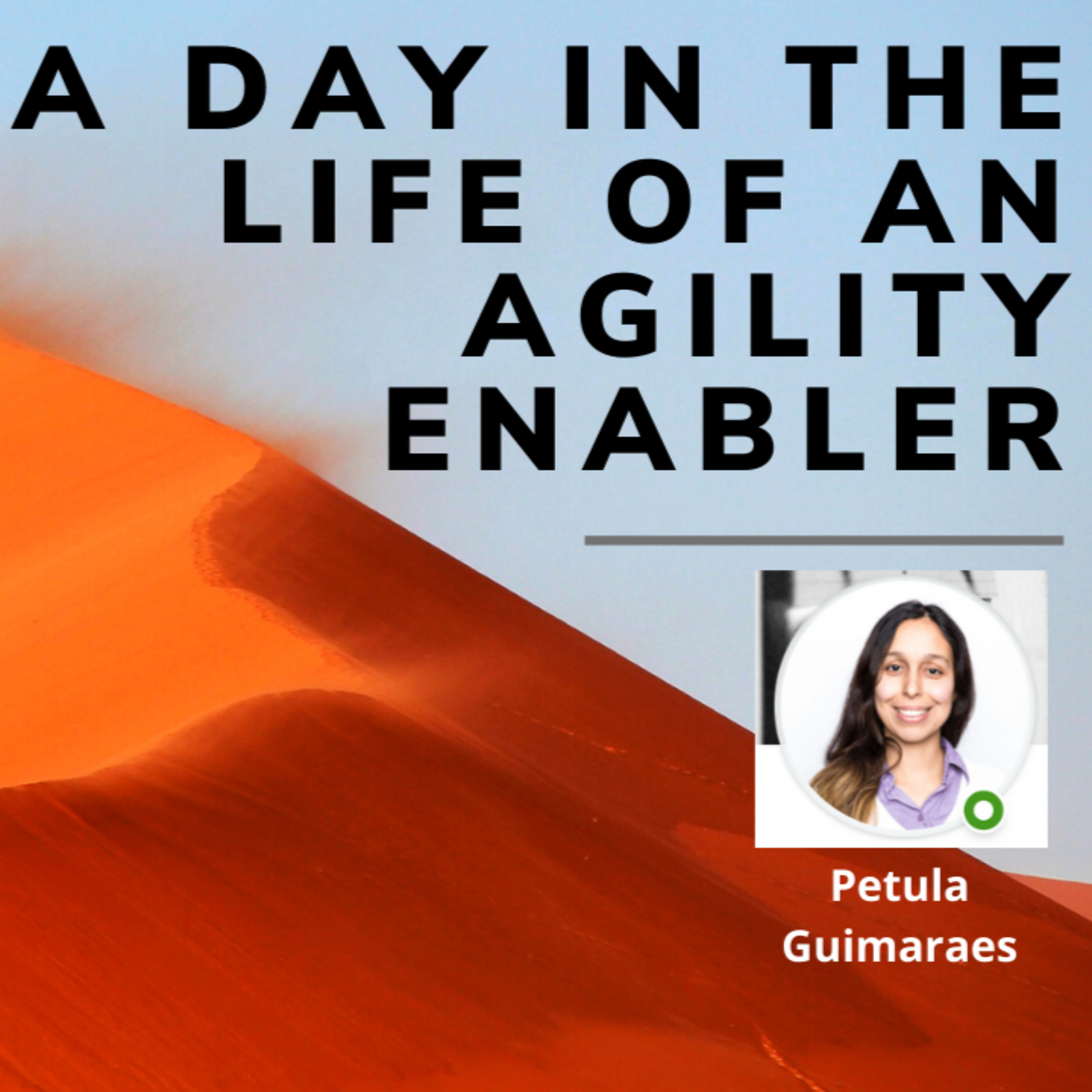 A day in the life of an Agility Enabler