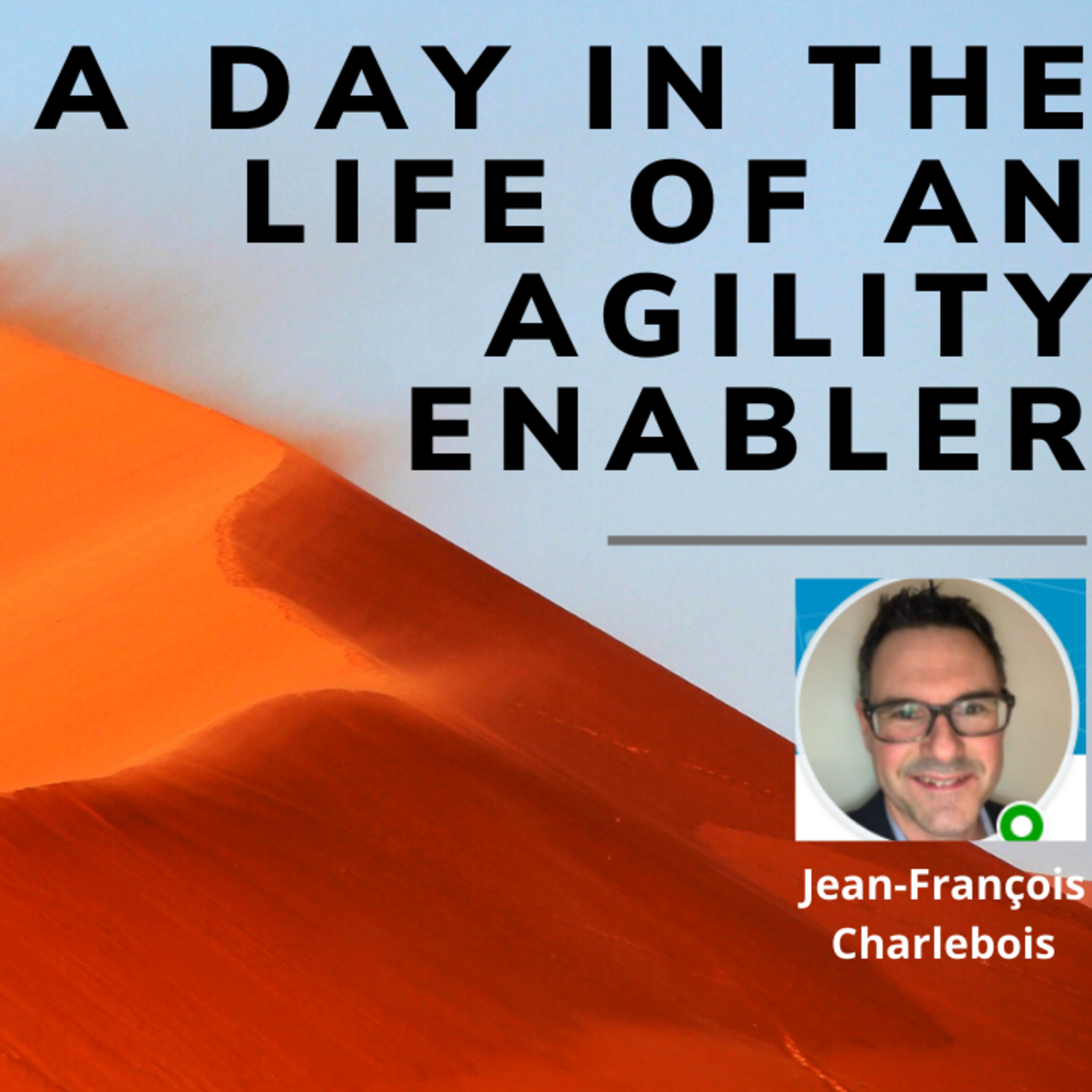 A day in the life of an Agility Enabler