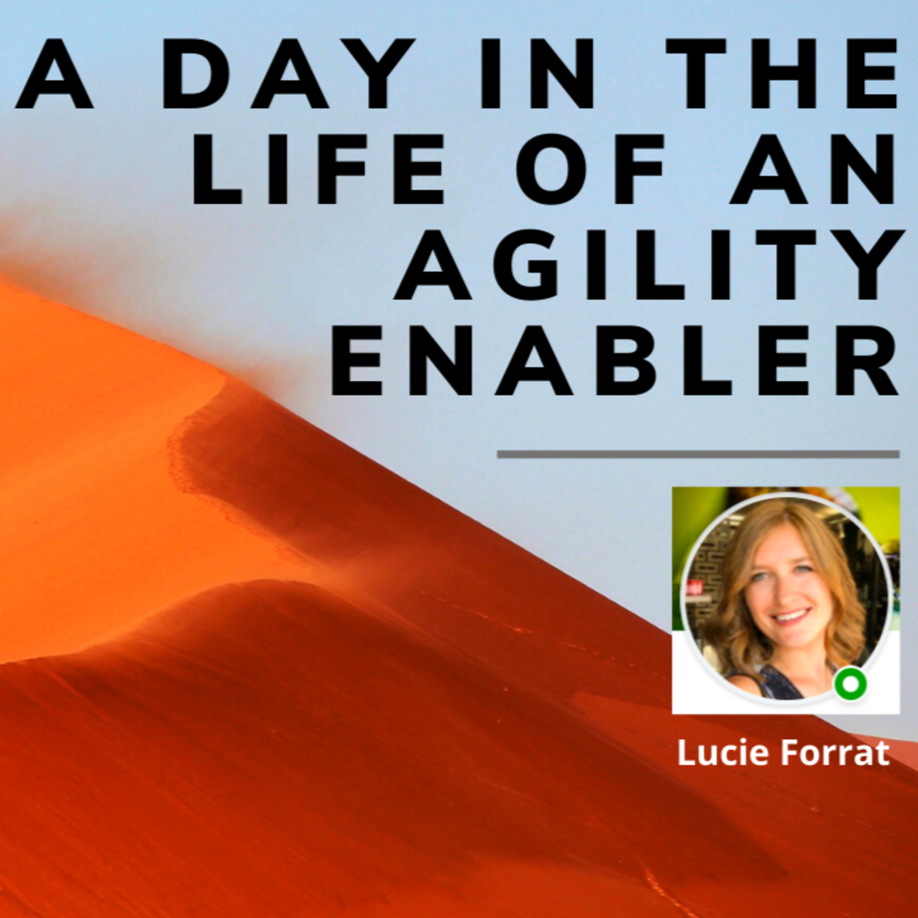 A day in the life of an Agility Enabler