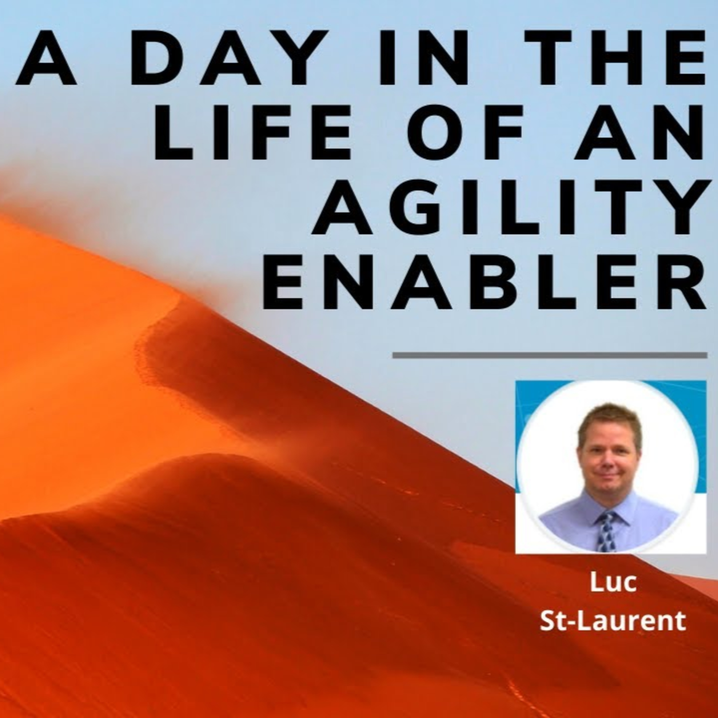 A day in the life of an Agility Enabler