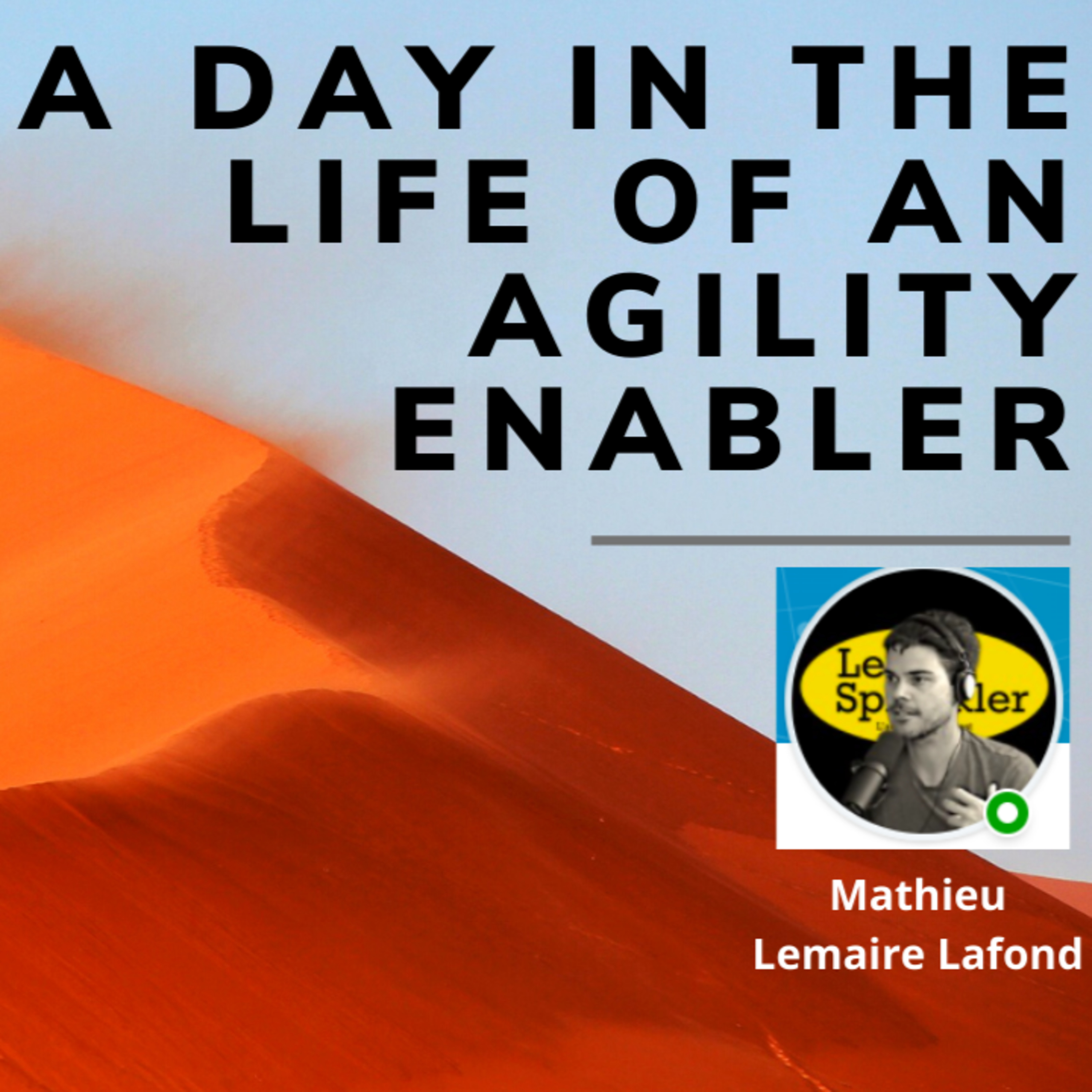 A day in the life of an Agility Enabler