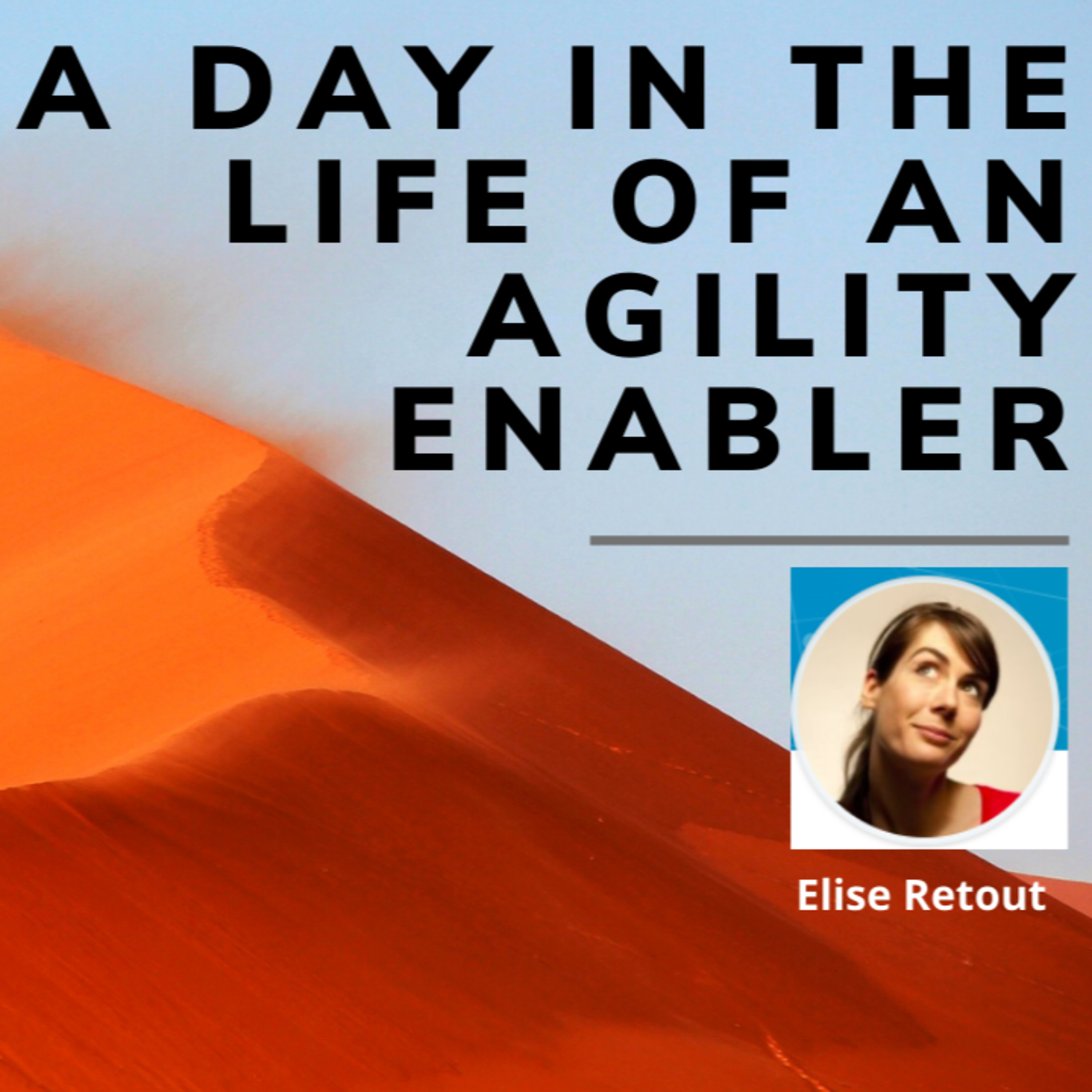 A day in the life of an Agility Enabler