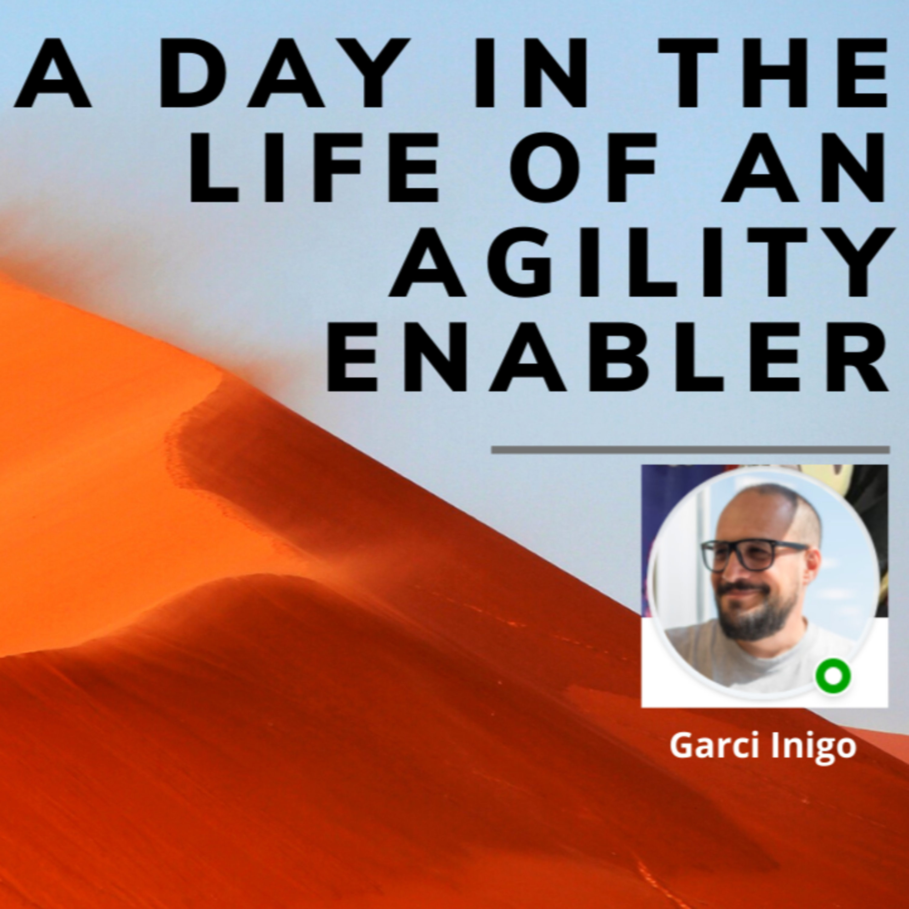 A day in the life of an Agility Enabler