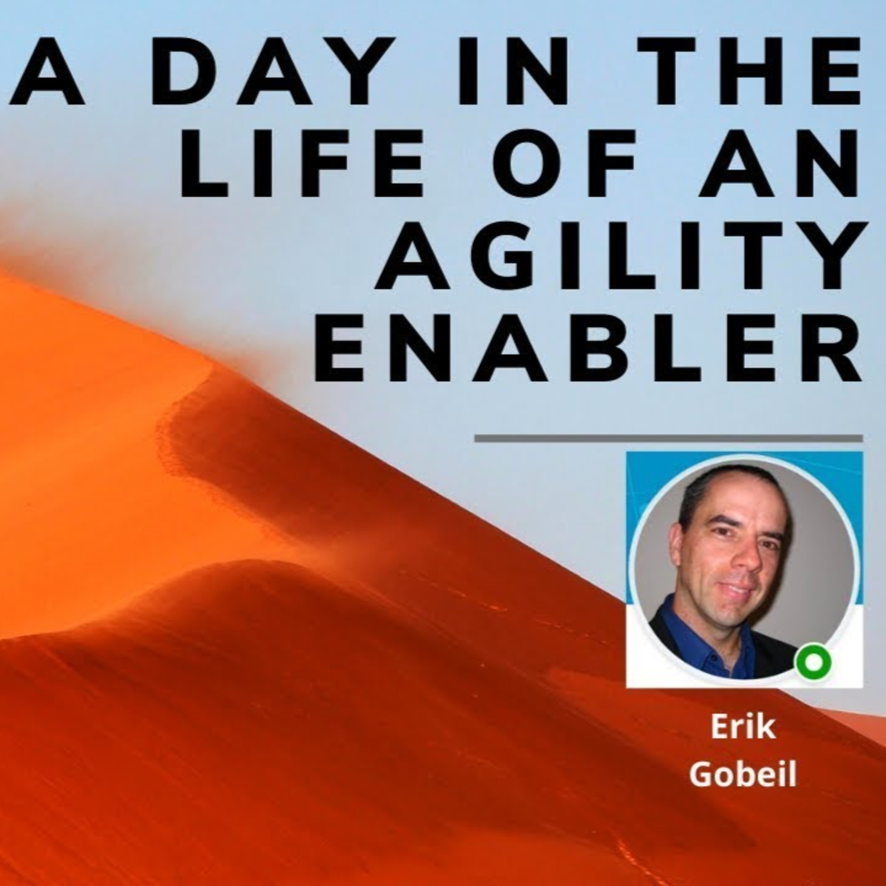 A day in the life of an Agility Enabler