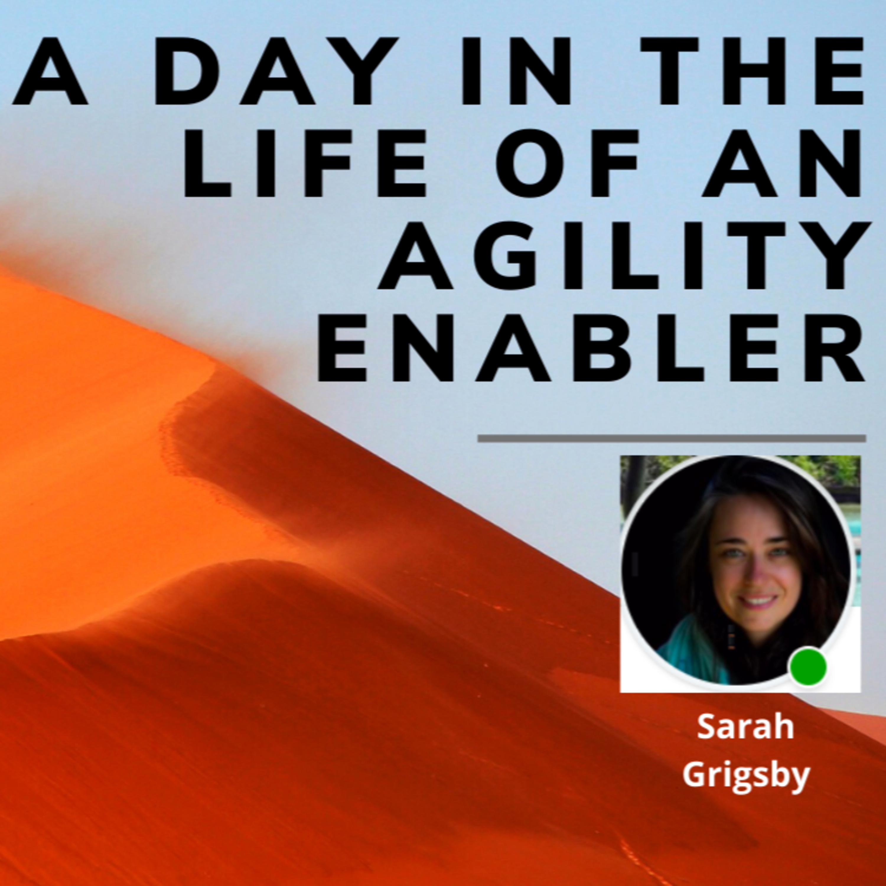 A day in the life of an Agility Enabler