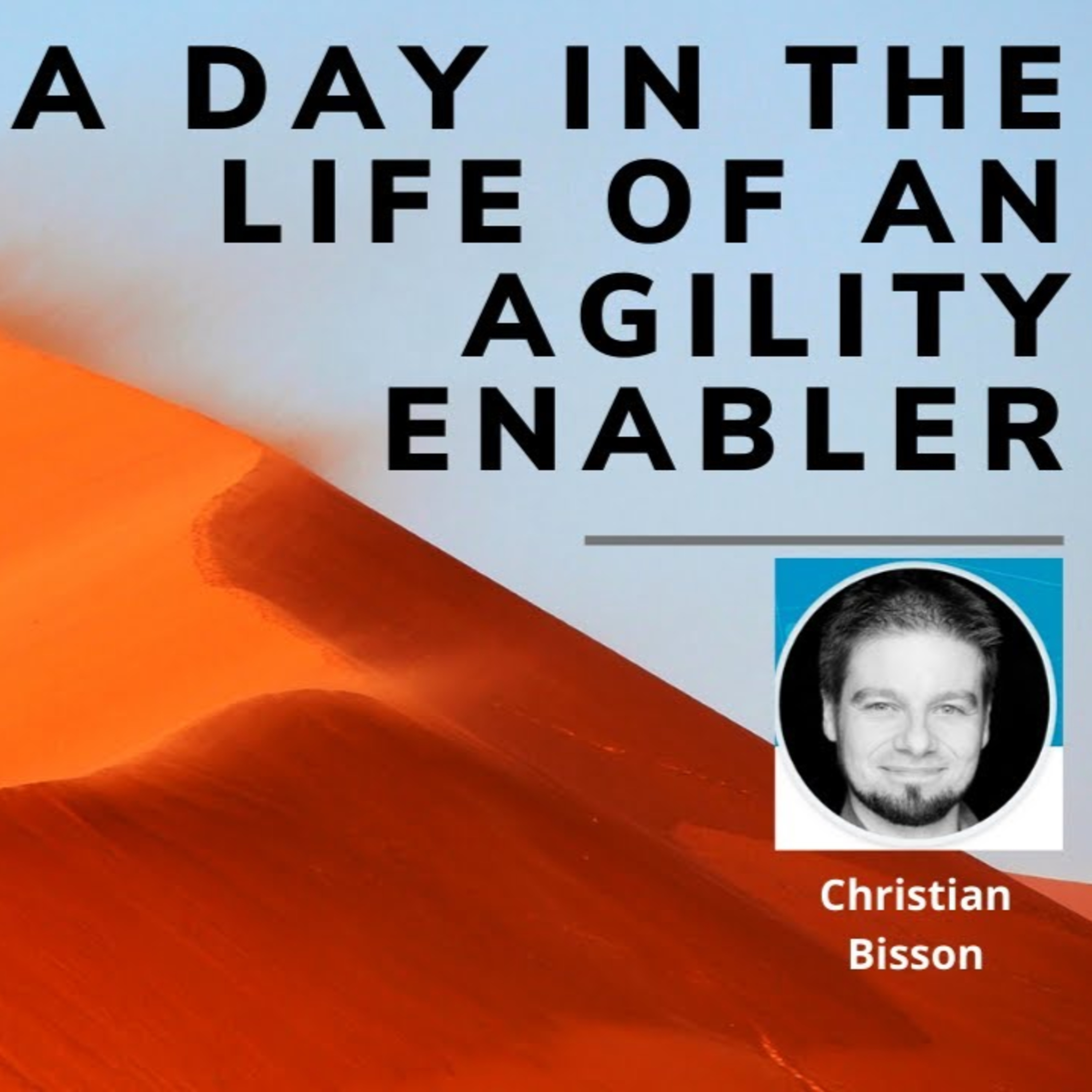 A day in the life of an Agility Enabler