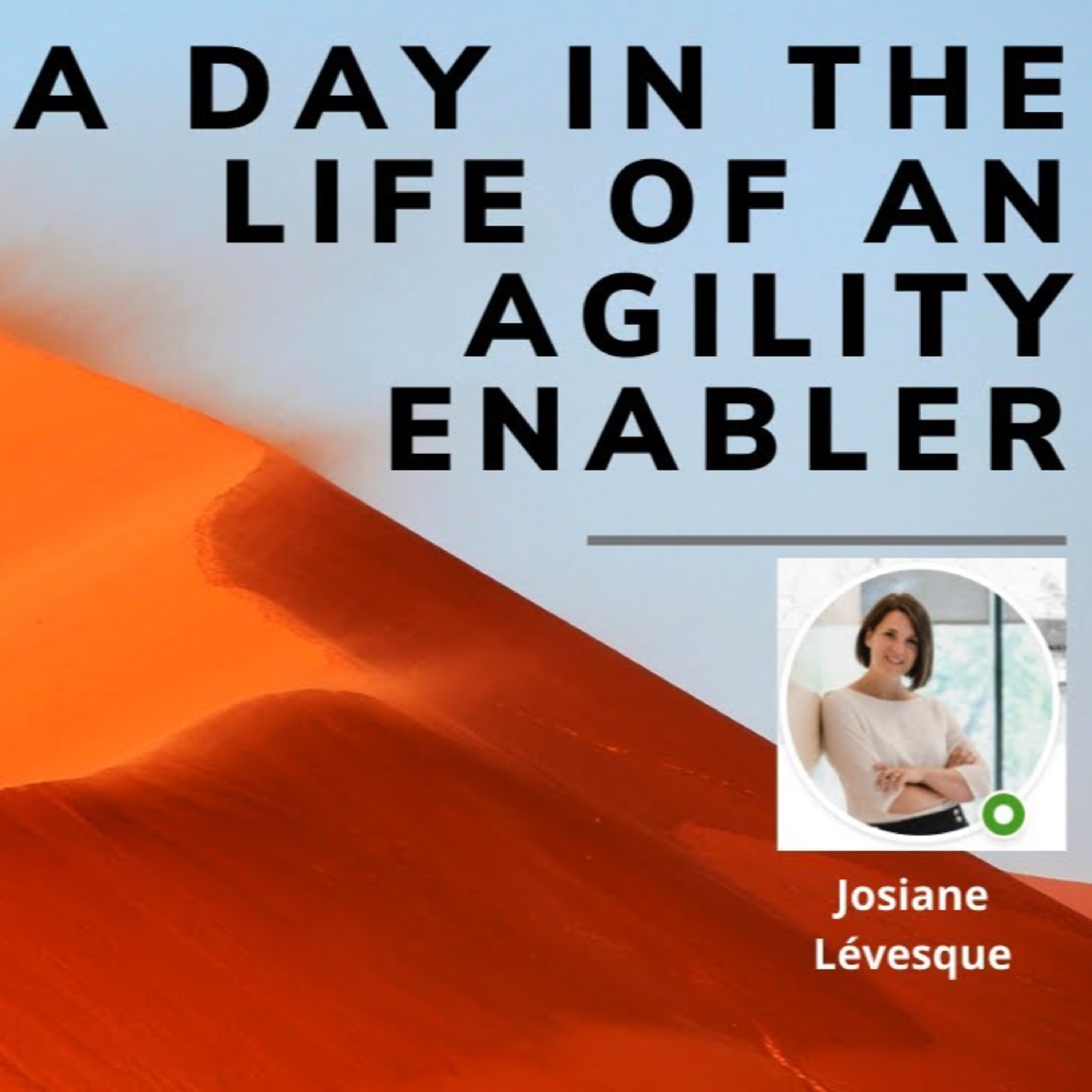 A day in the life of an Agility Enabler
