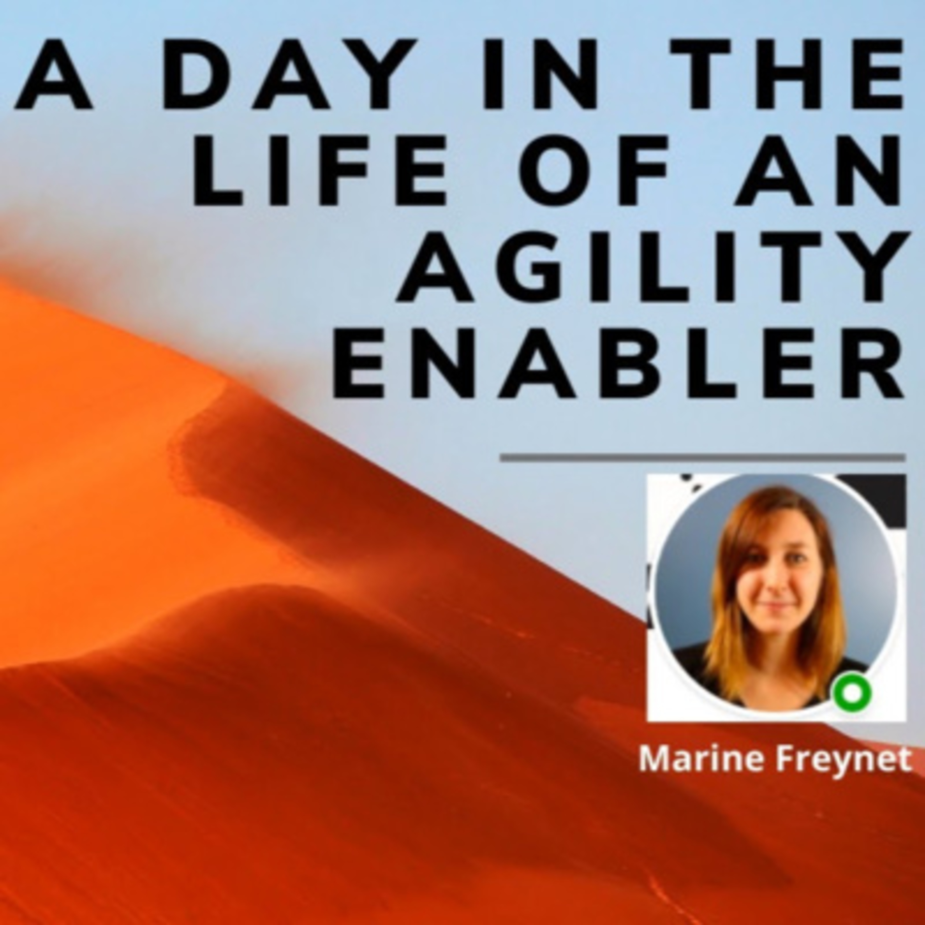 A day in the life of an Agility Enabler