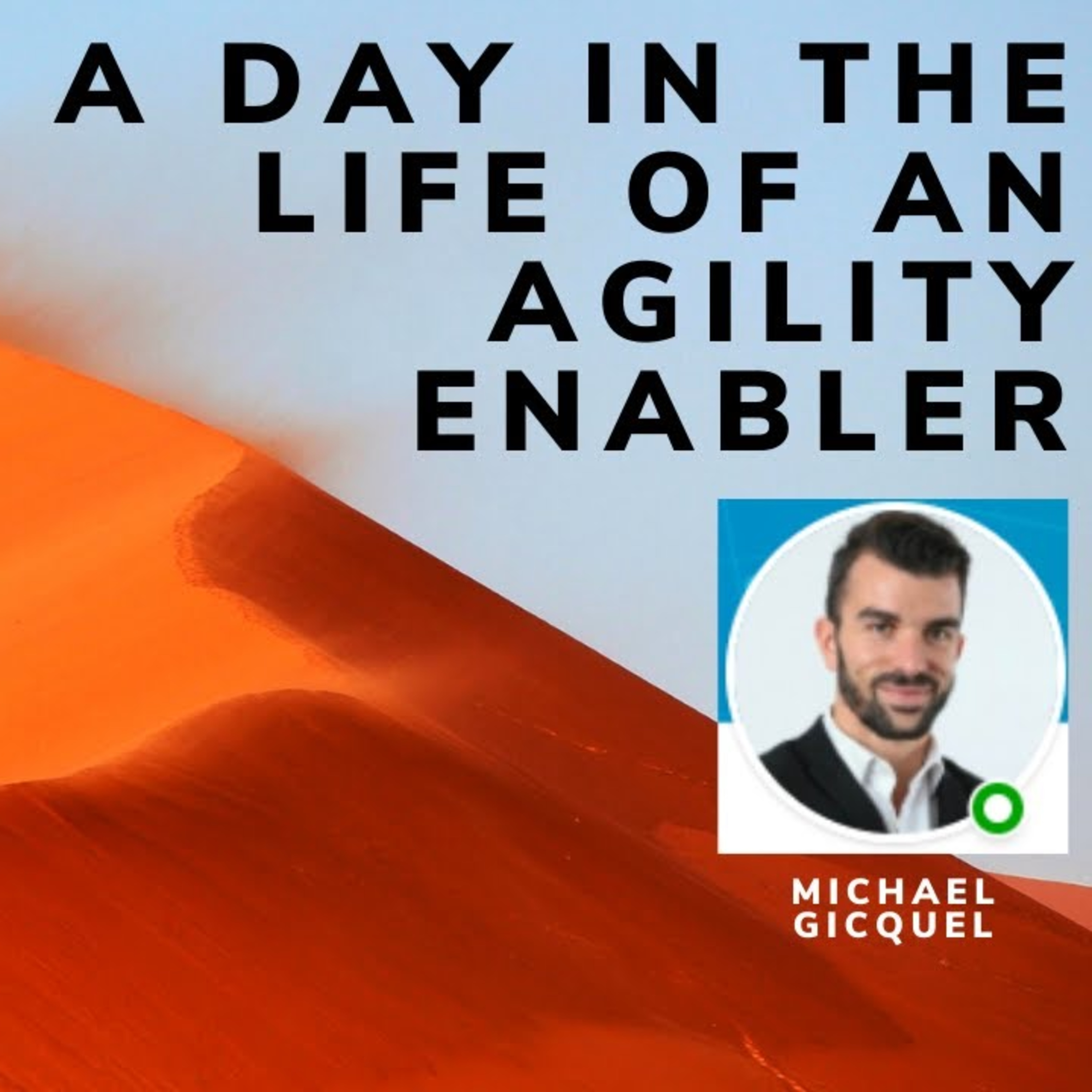 A day in the life of an Agility Enabler