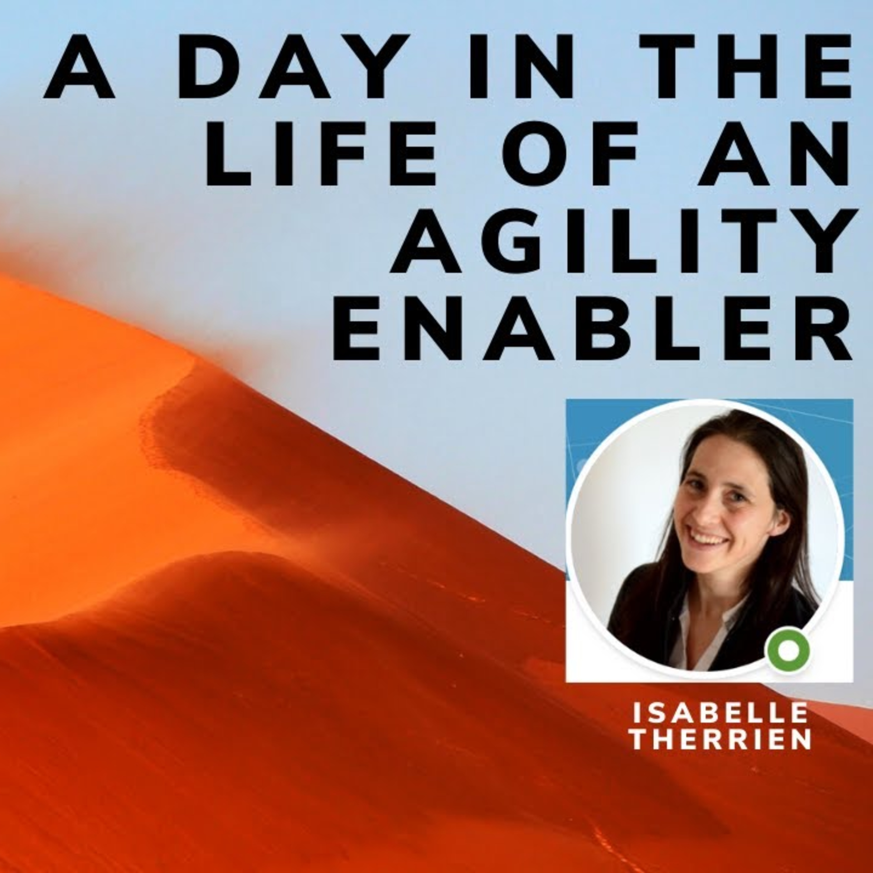 A day in the life of an Agility Enabler