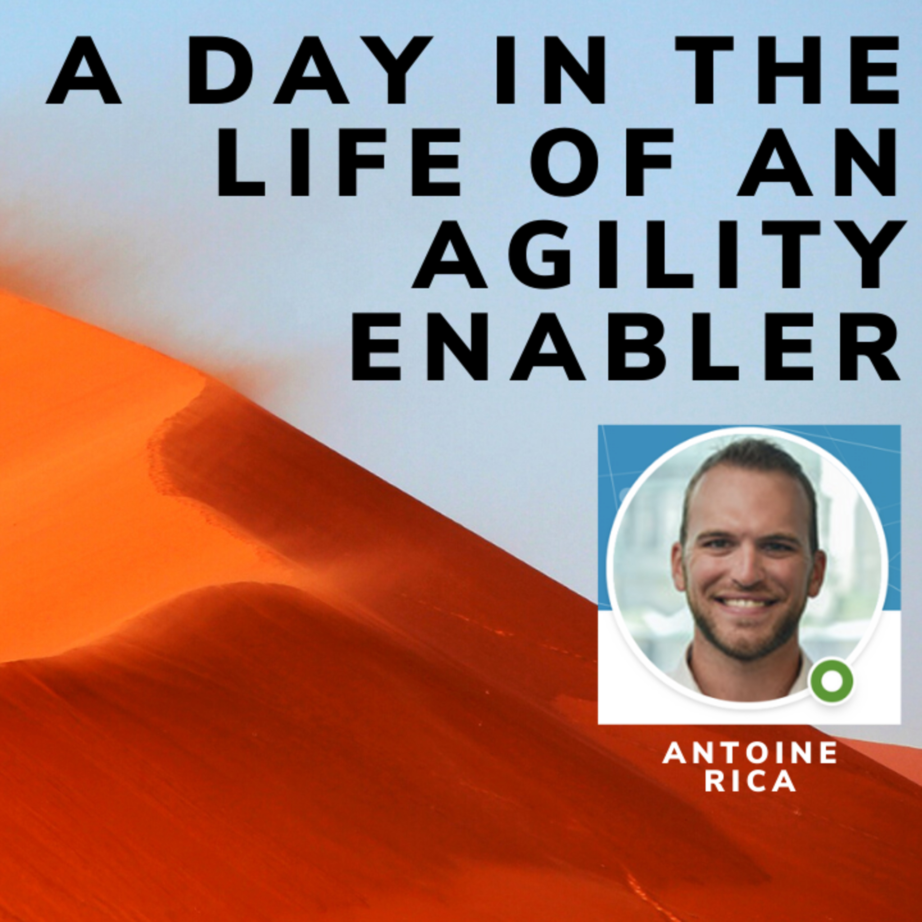 A day in the life of an Agility Enabler