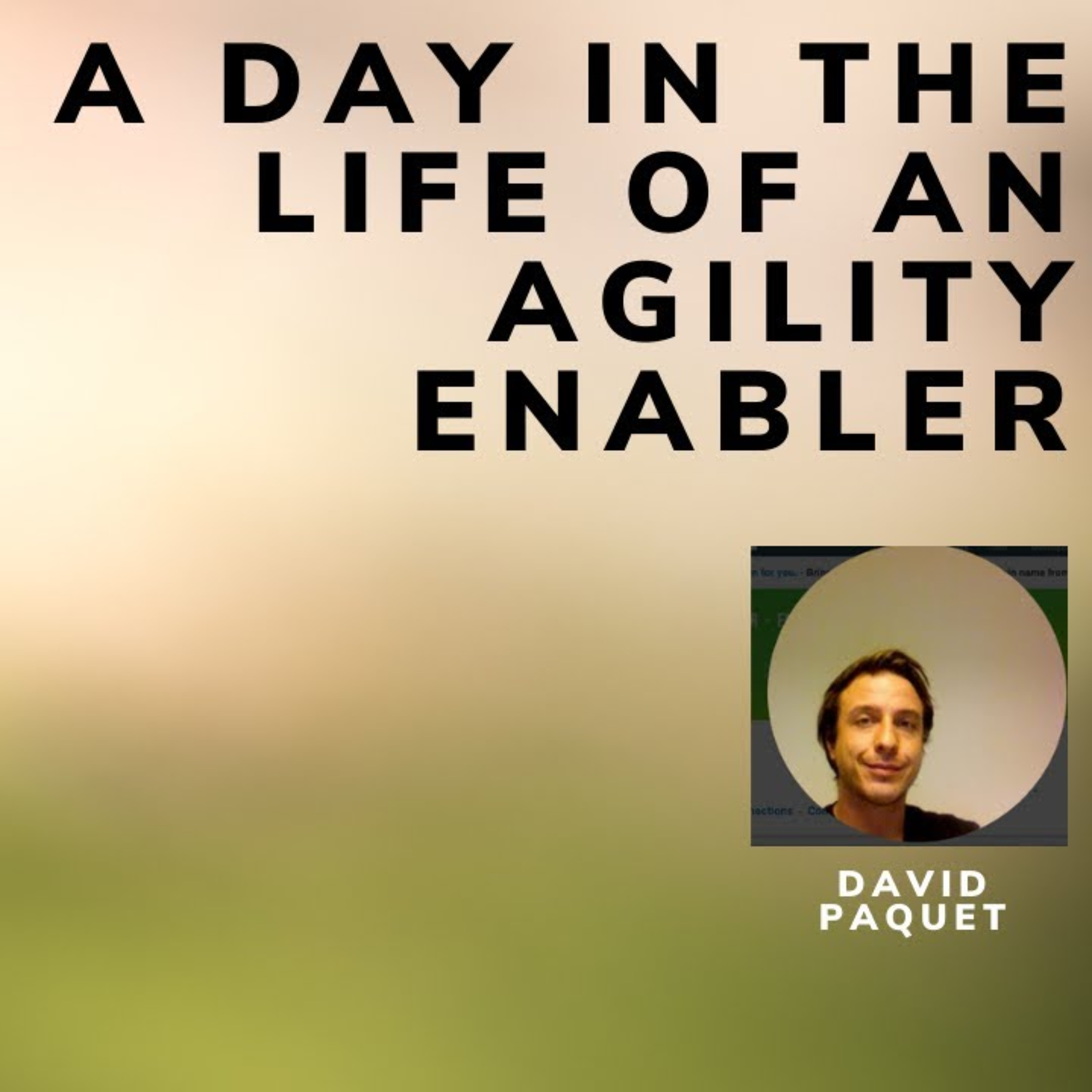 A day in the life of an Agility Enabler