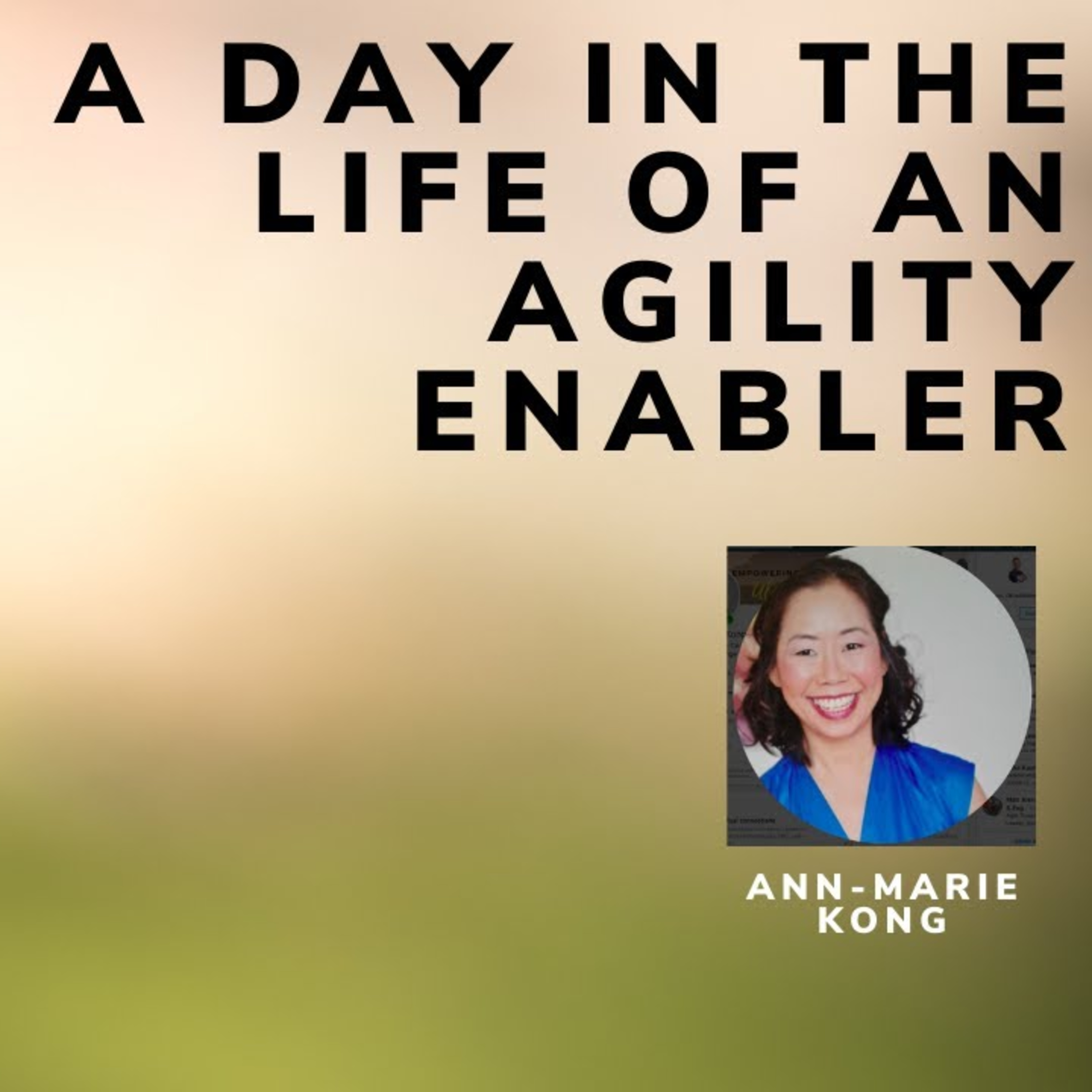 A day in the life of an Agility Enabler