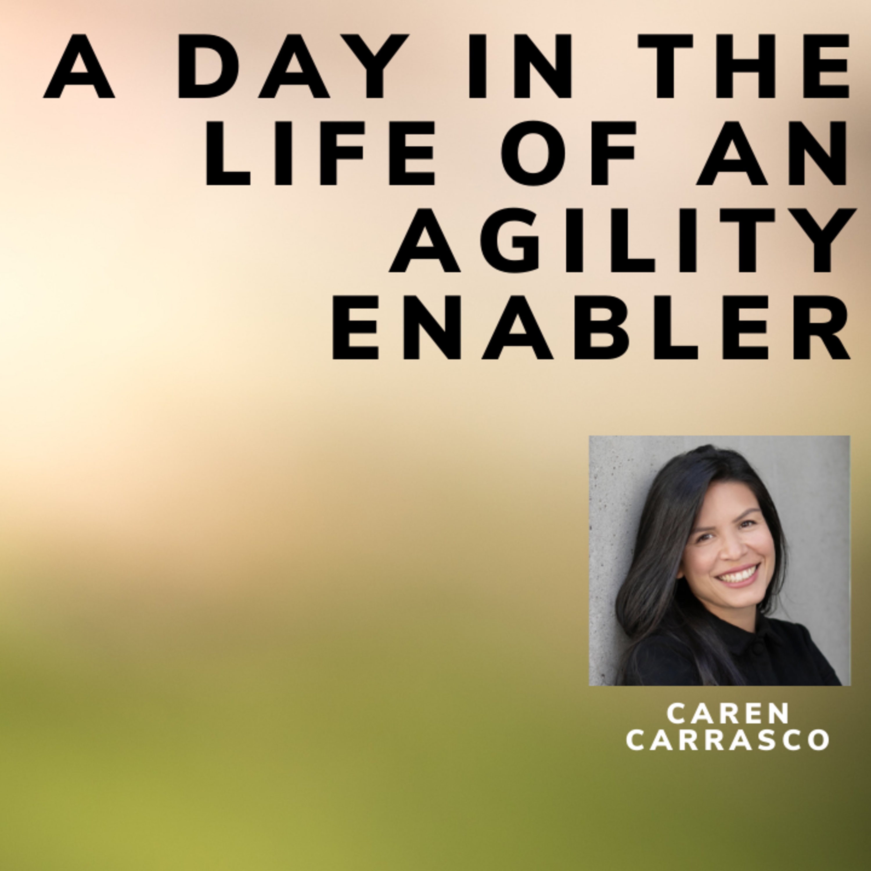 A day in the life of an Agility Enabler