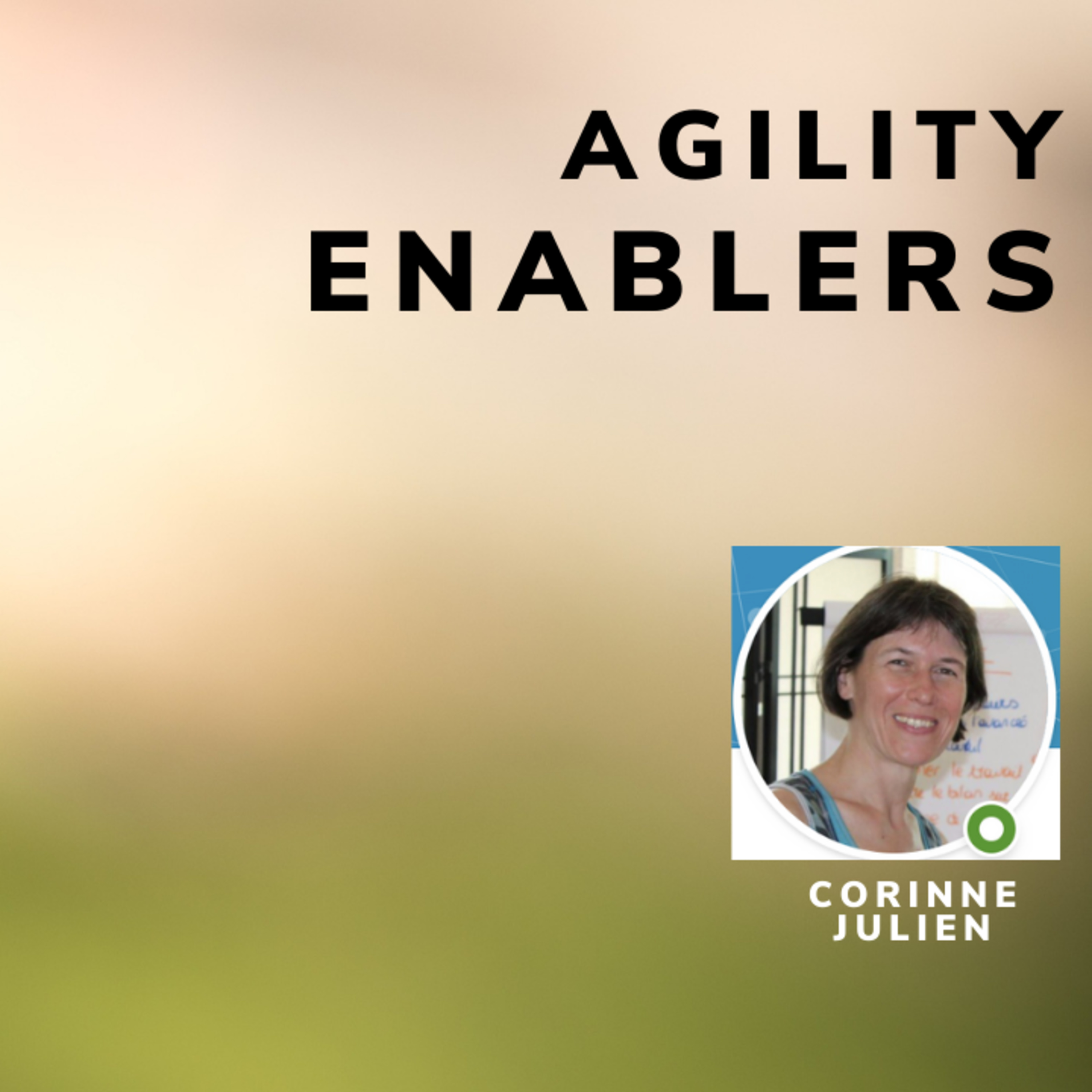 A day in the life of an Agility Enabler